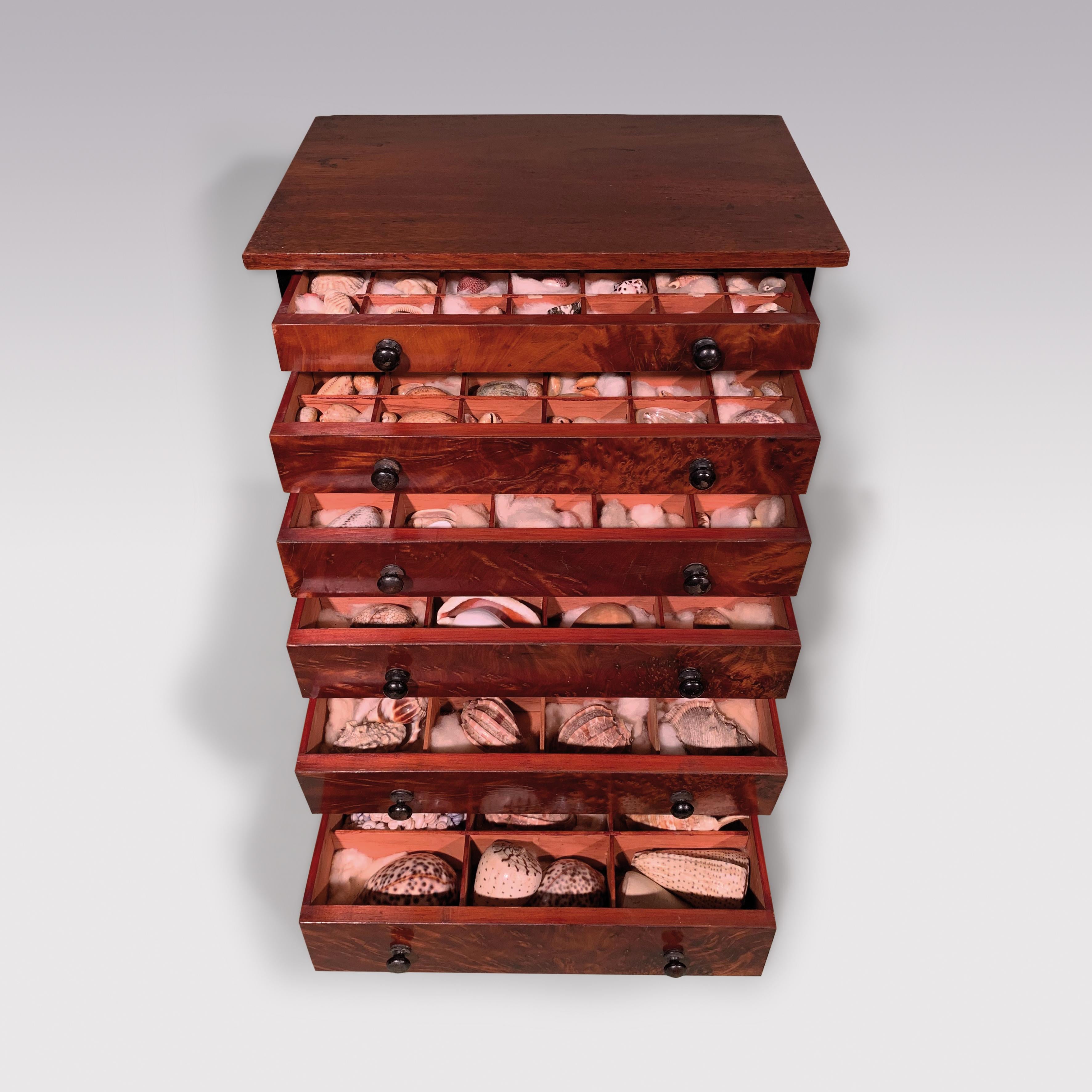 Victorian 19th Century Mahogany Collectors Cabinet