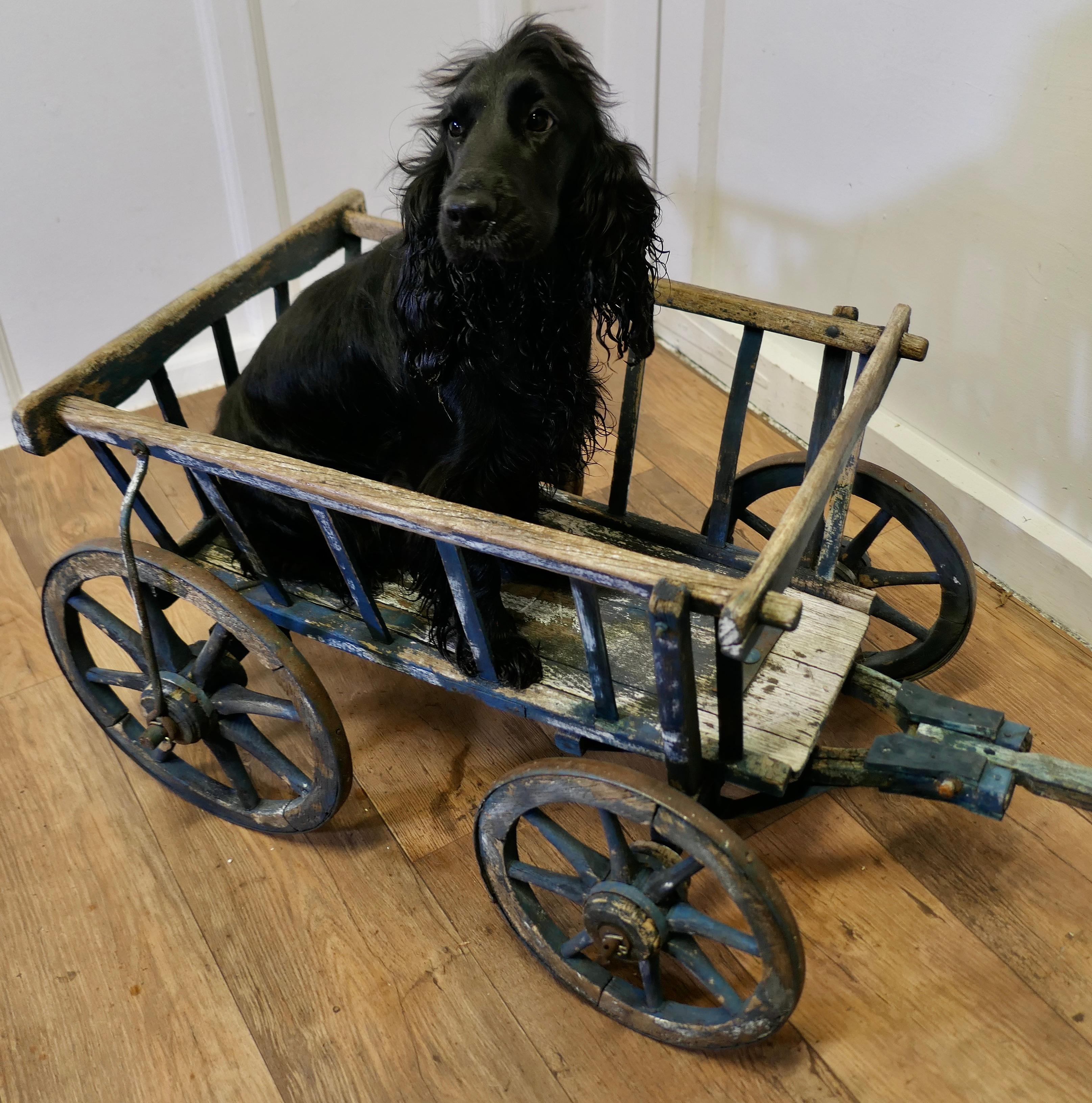 A 19th Century Market Garden Hand Cart or “Dog Cart”    For Sale 1