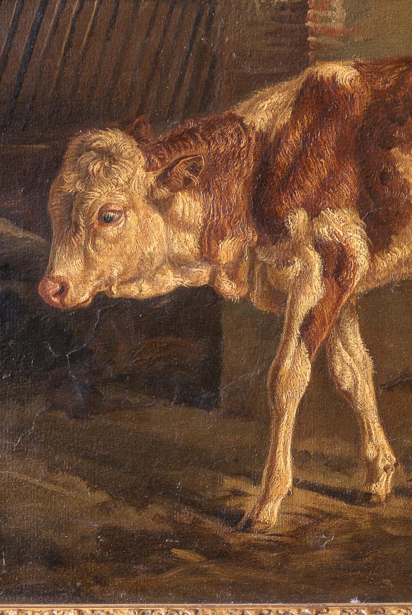Dipinto Un olio su carta su pannello di legno del XIX secolo, dipinto di un vitello in un fienile in vendita
