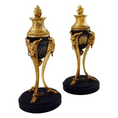 19th Century Pair of French Gilded Bronze Cassolettes