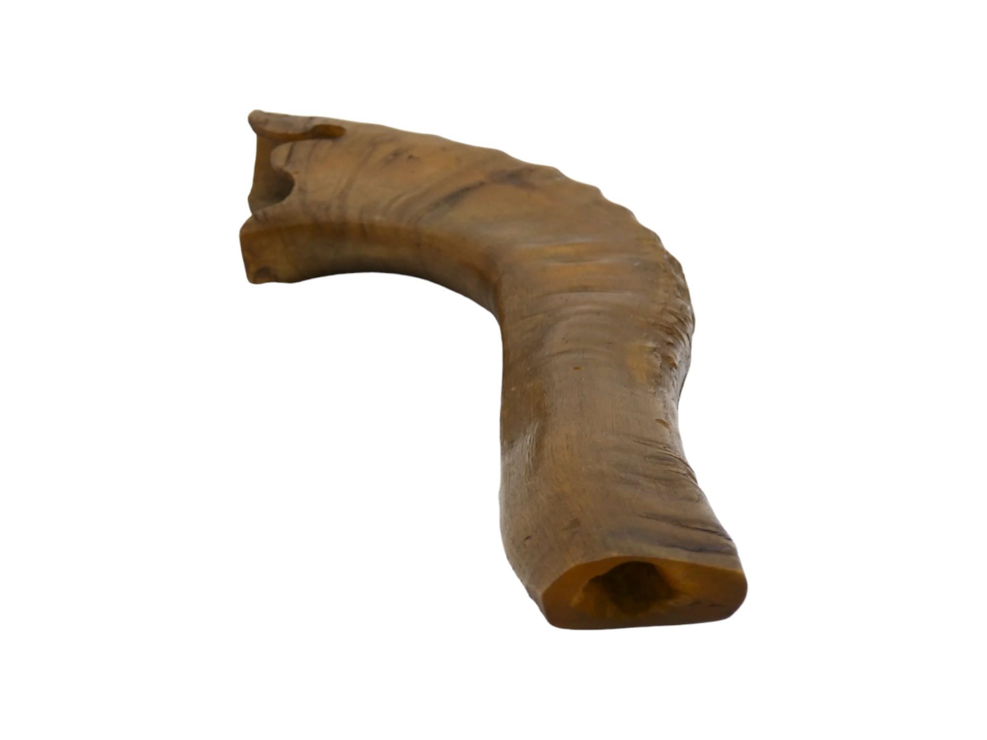 Horn A 19th Century Polish Shofar For Sale