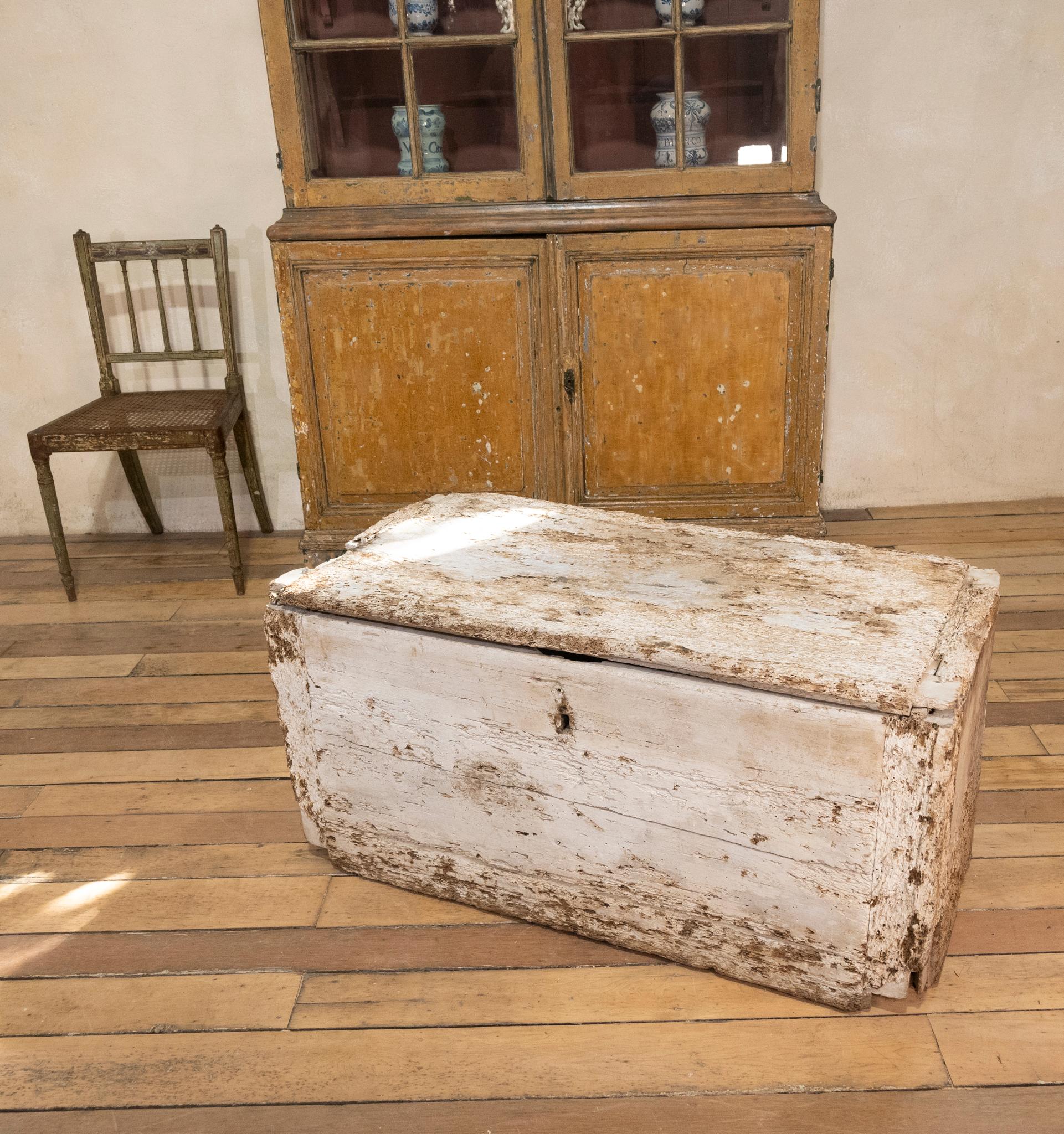 19th Century Rustic Painted Country House Trunk, Coffee Table For Sale 12