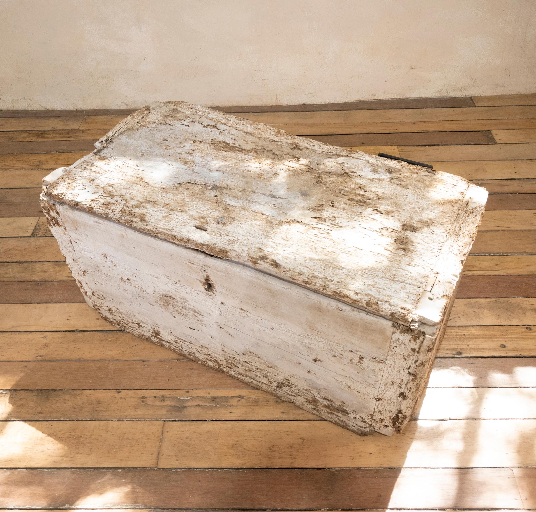 19th Century Rustic Painted Country House Trunk, Coffee Table For Sale 4