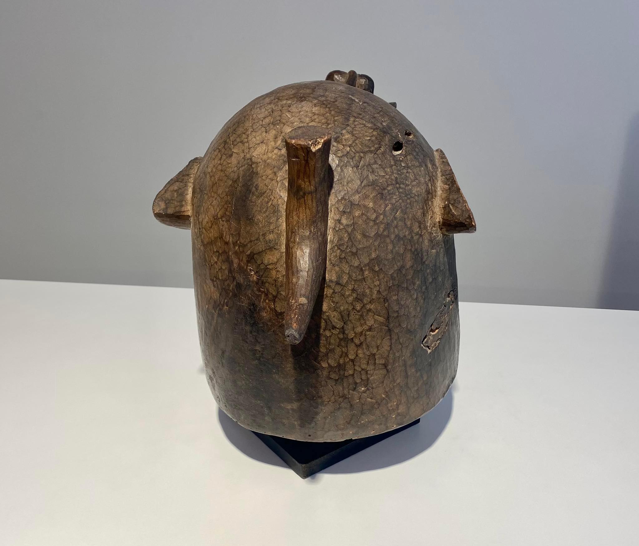 Máscara de casco senufo de tipo kponyugu Senufo Senoufo Costa de Marfil Costa de Marfil en venta 4