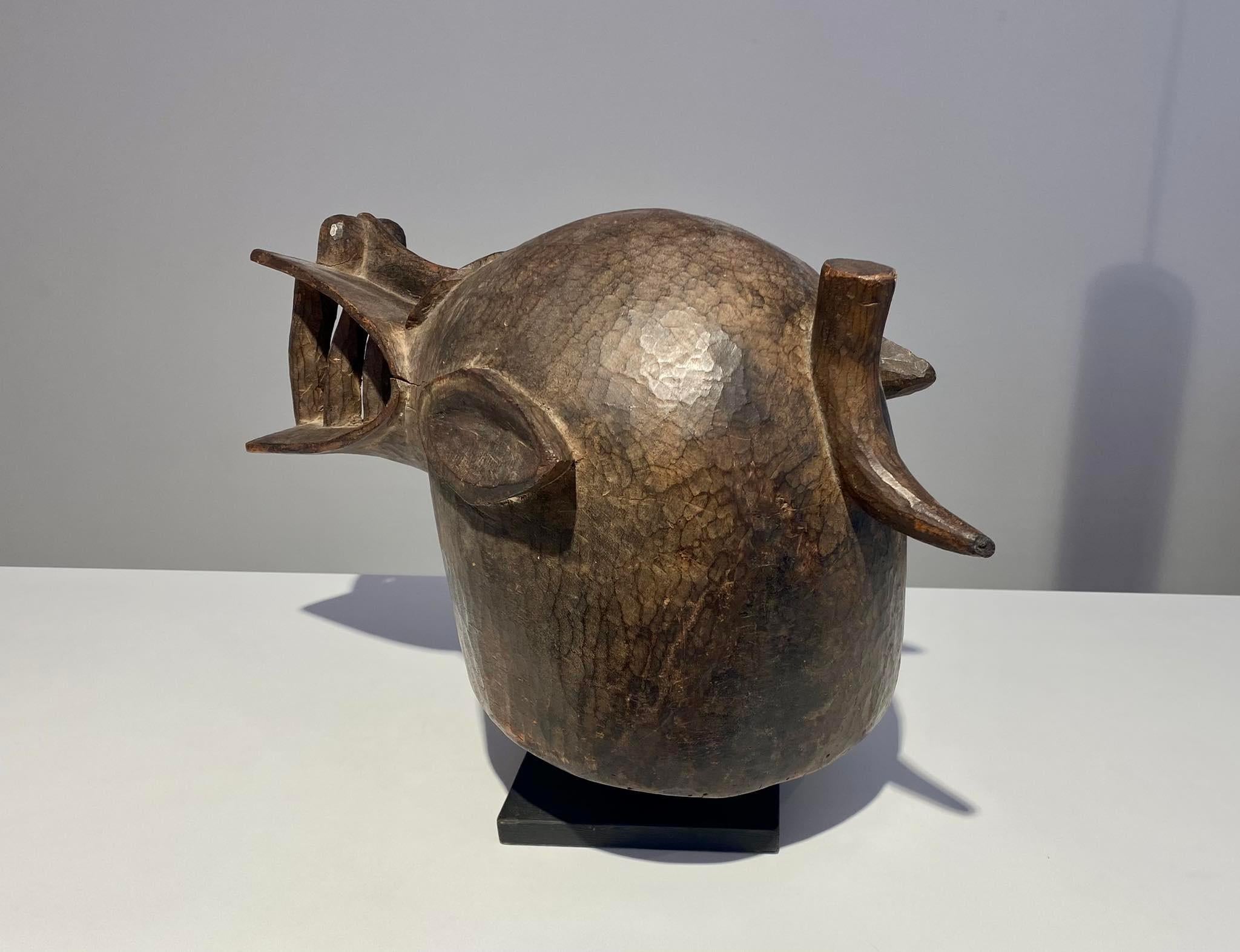 Máscara de casco senufo de tipo kponyugu Senufo Senoufo Costa de Marfil Costa de Marfil en venta 5