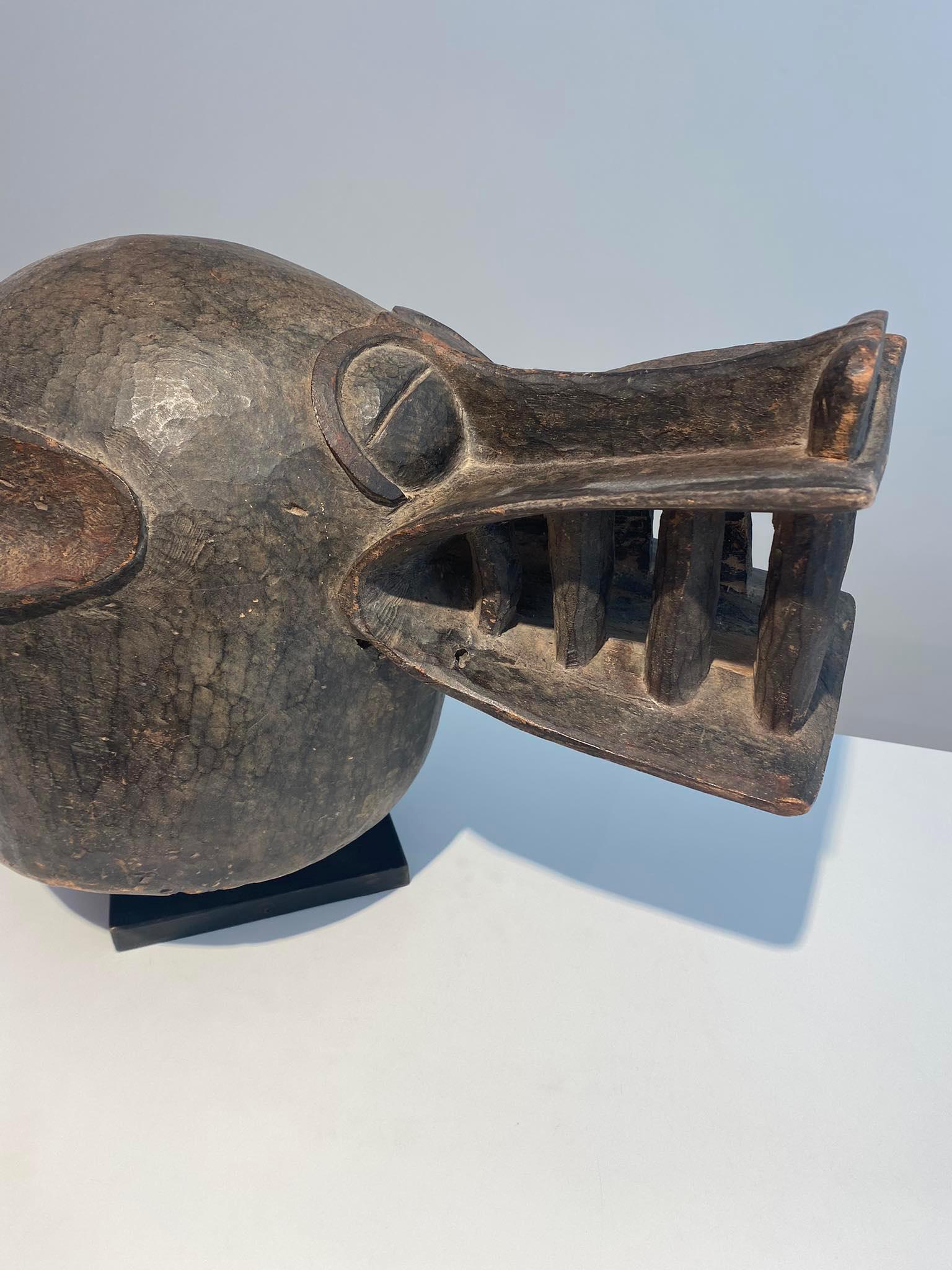 Máscara de casco senufo de tipo kponyugu Senufo Senoufo Costa de Marfil Costa de Marfil en venta 1