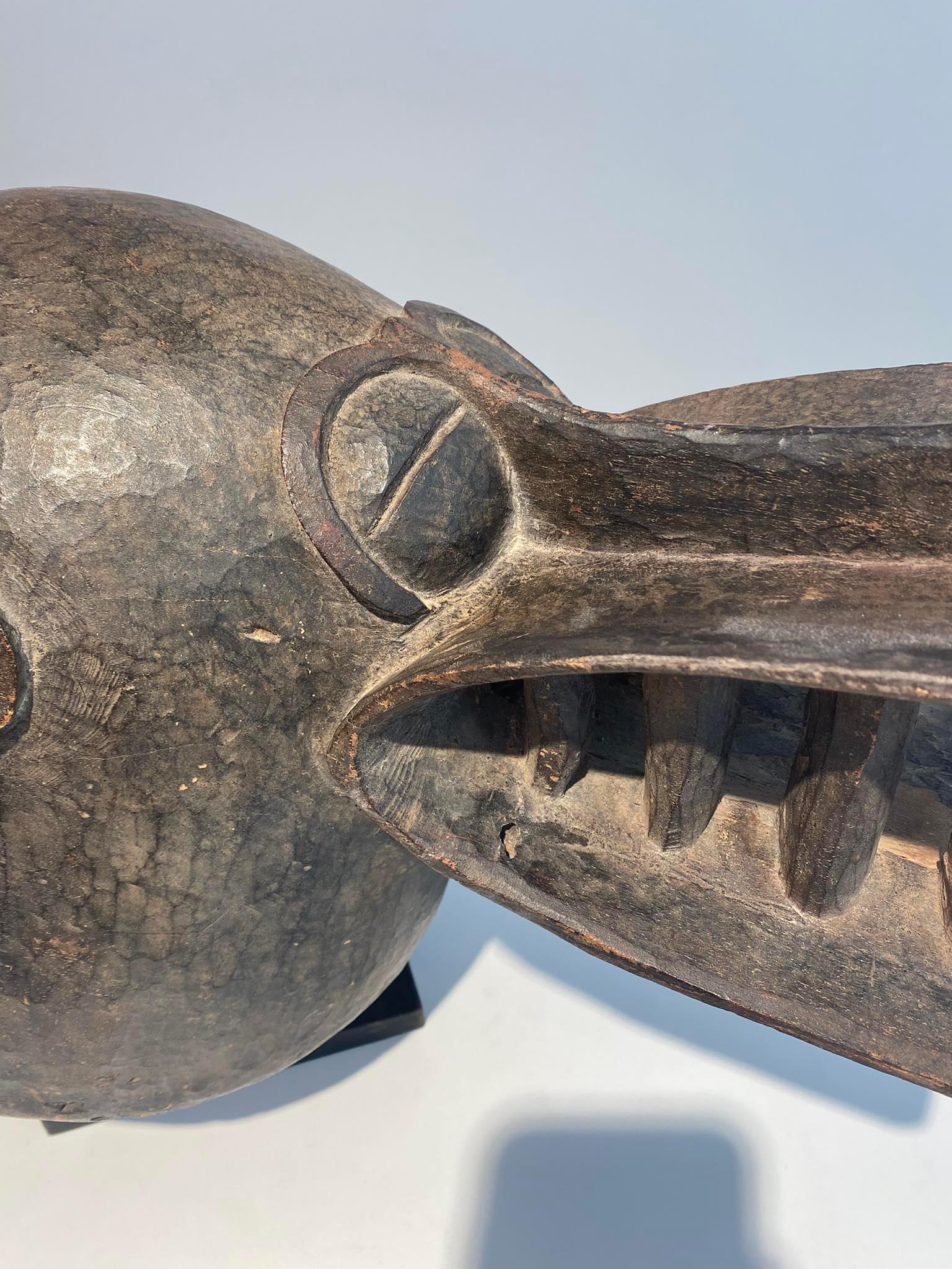 Máscara de casco senufo de tipo kponyugu Senufo Senoufo Costa de Marfil Costa de Marfil en venta 2