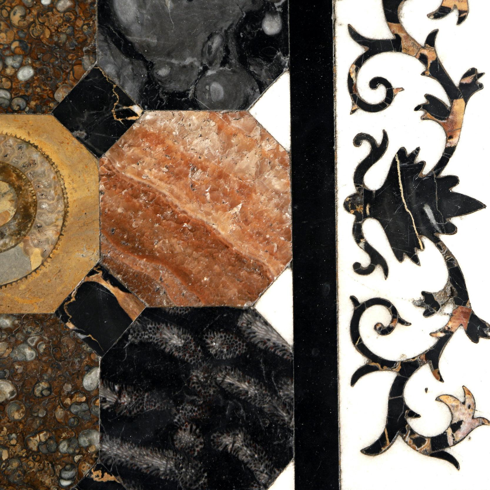 19th Century Specimen Fossil & Marble Table 6