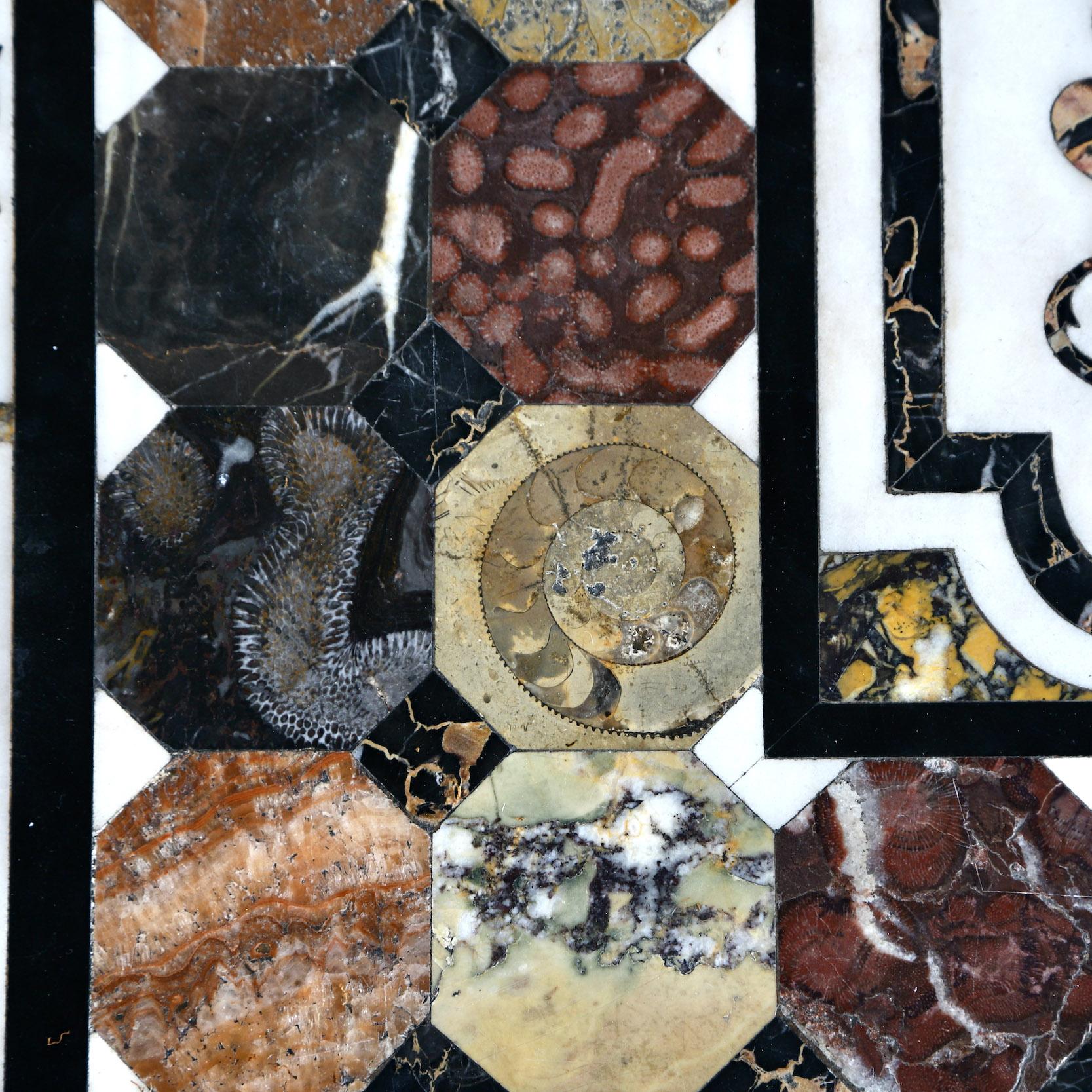 19th Century Specimen Fossil & Marble Table 1