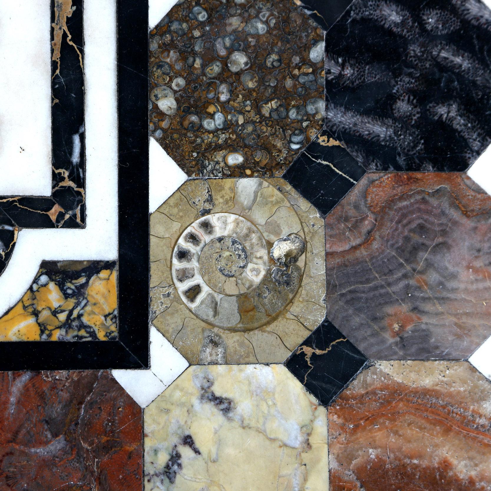 19th Century Specimen Fossil & Marble Table 3