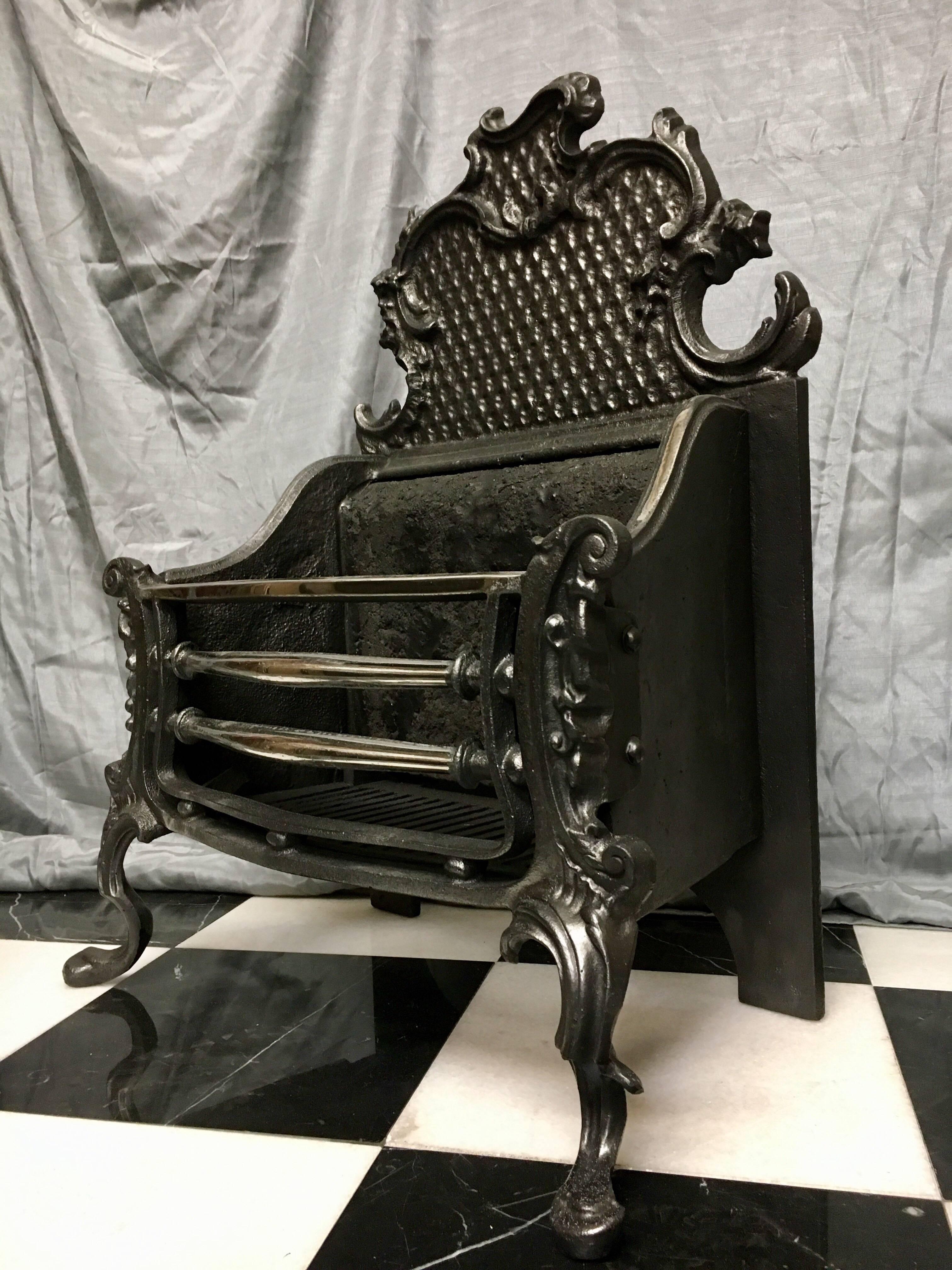Early 20th Century 20th Century Georgian Style Cast Iron Rococo Fire Basket Grate For Sale