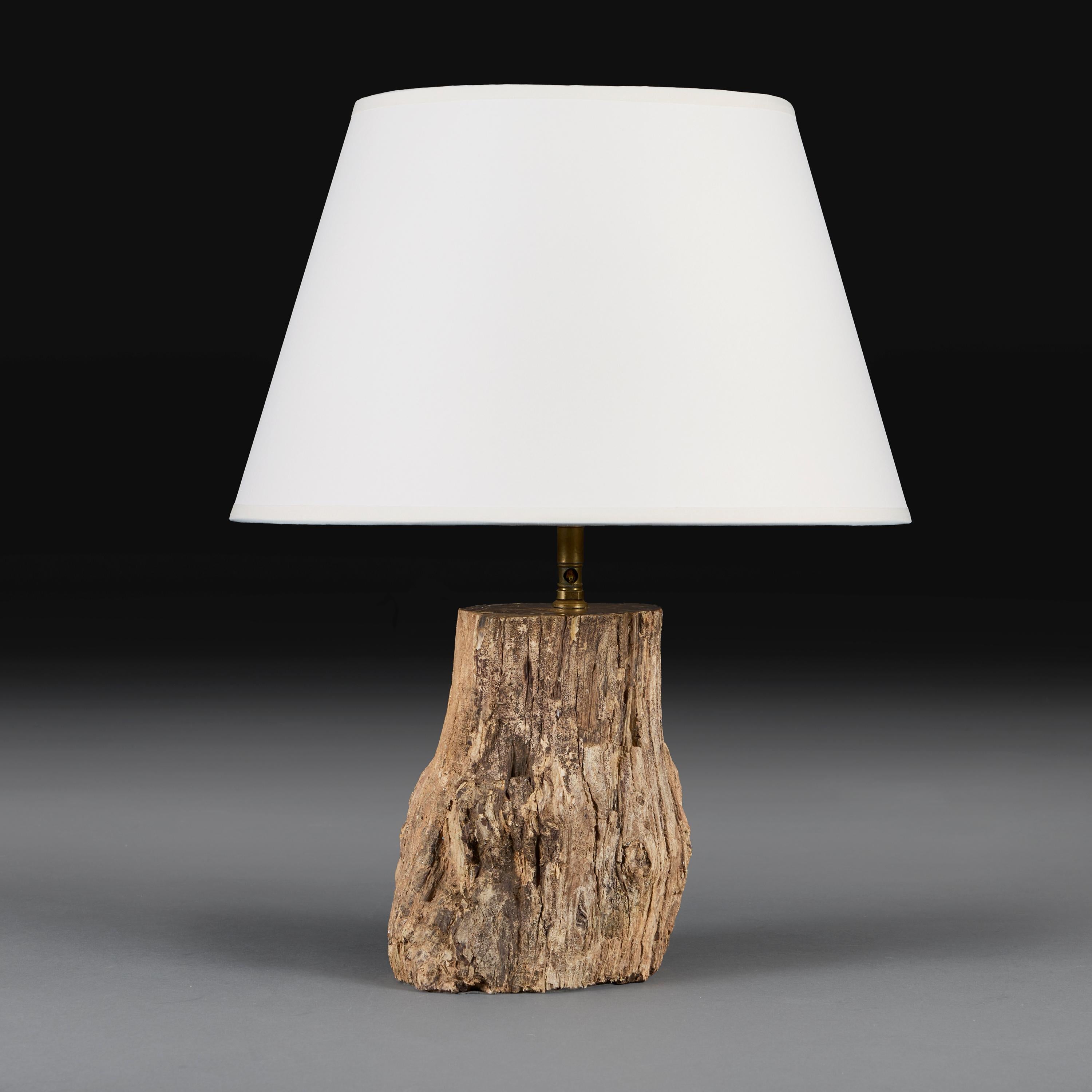Un baúl de madera petrificada del siglo XX como lámpara Italiano en venta