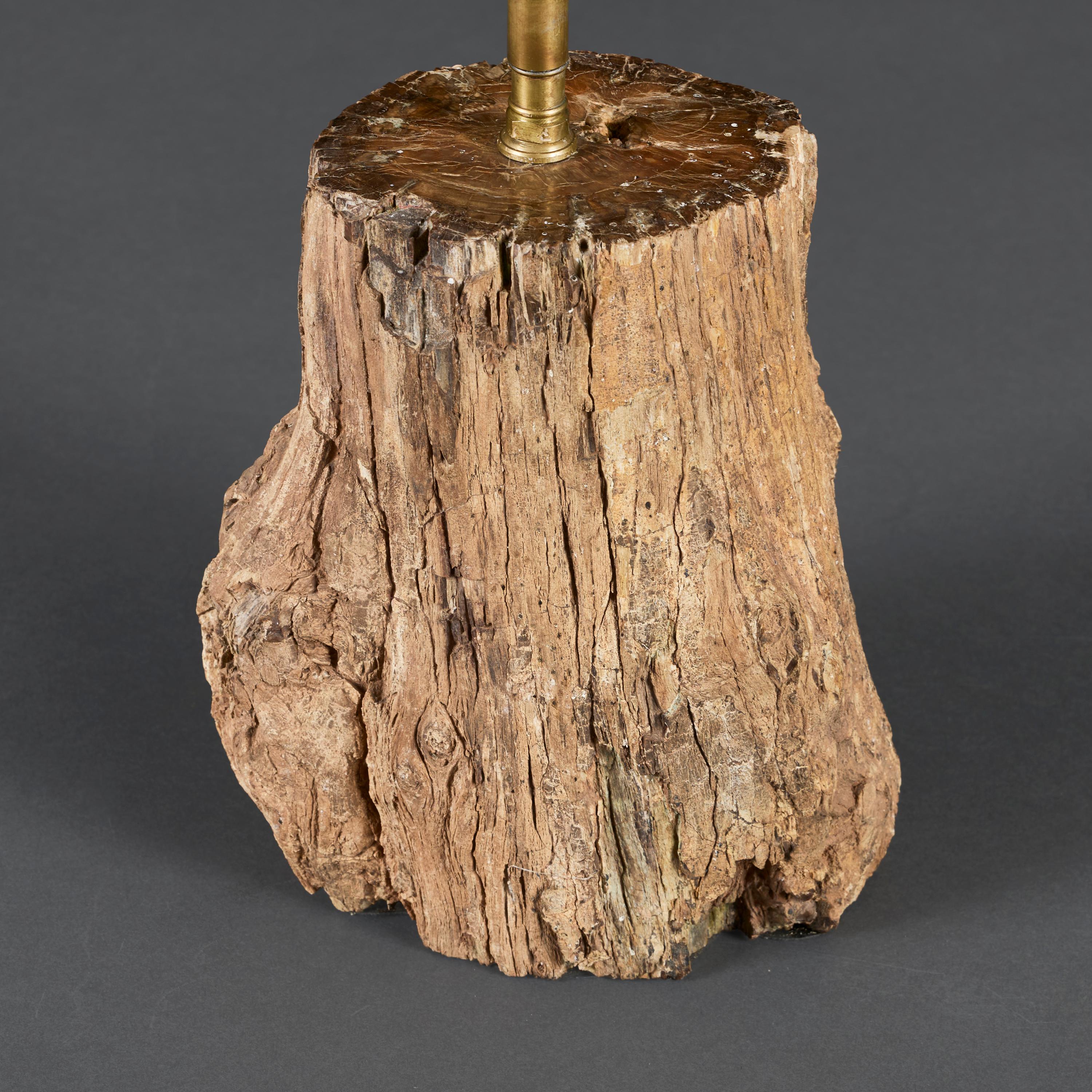 Un baúl de madera petrificada del siglo XX como lámpara en Bueno estado para la venta en London, GB