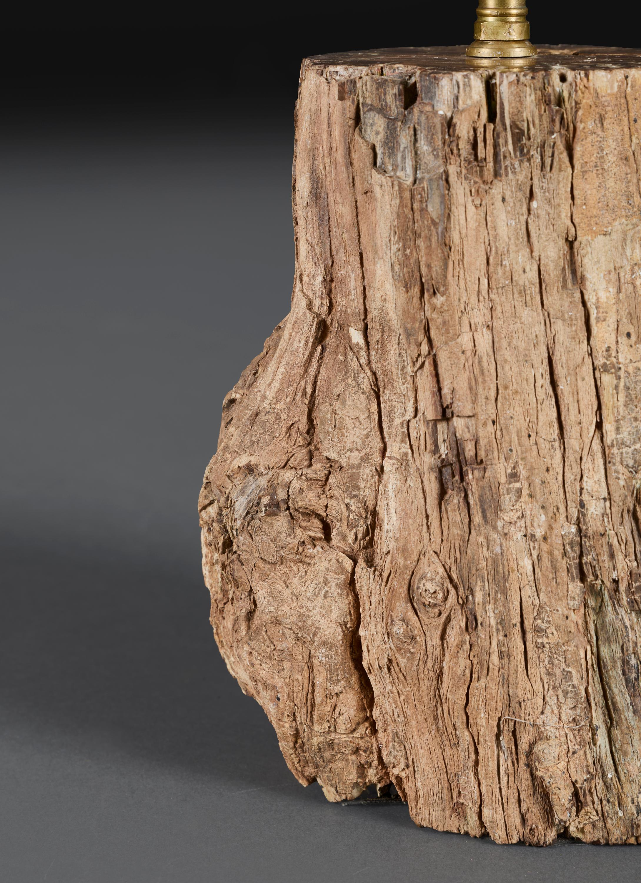 Un baúl de madera petrificada del siglo XX como lámpara Madera petrificada en venta