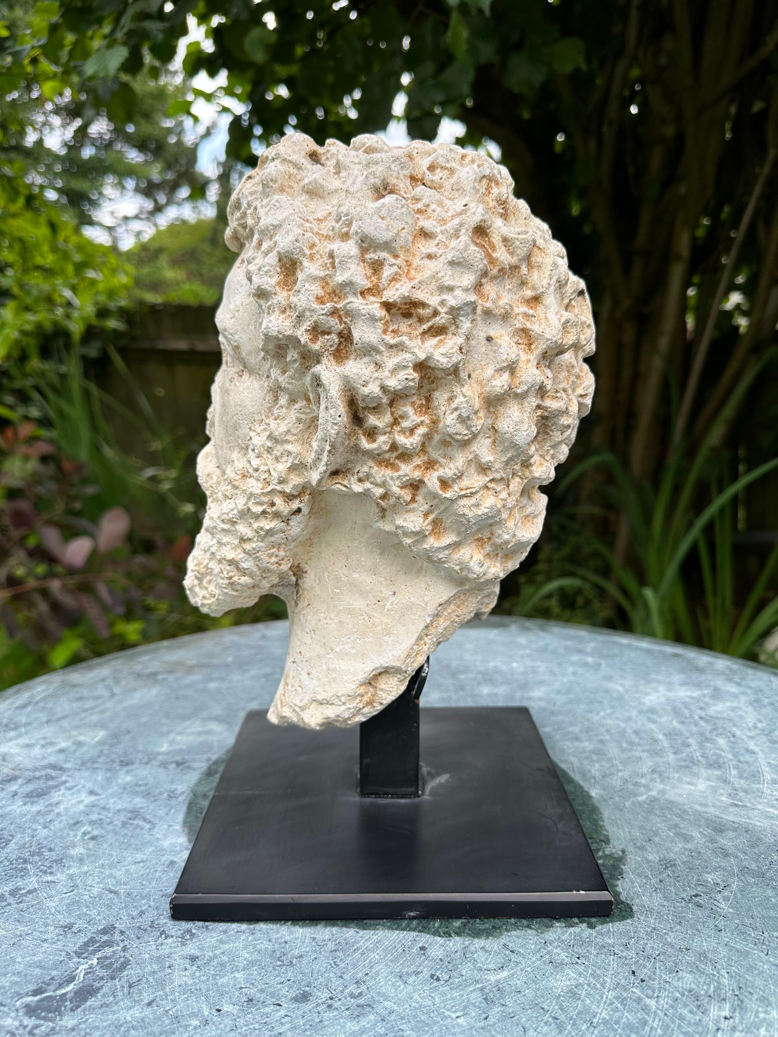 Greek Revival A 20th century plaster  head of a Roman God. For Sale