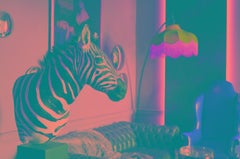 21st Century Taxidermy Burchell's Zebra Shoulder Mount