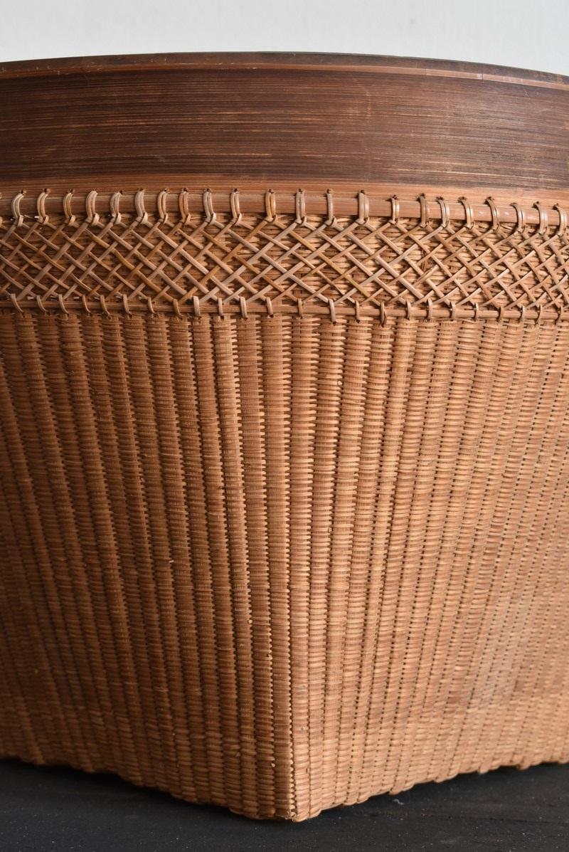 Basket Woven from Old Japanese Actinidia Polygama and Bamboo/Showa Era/Mingei 4