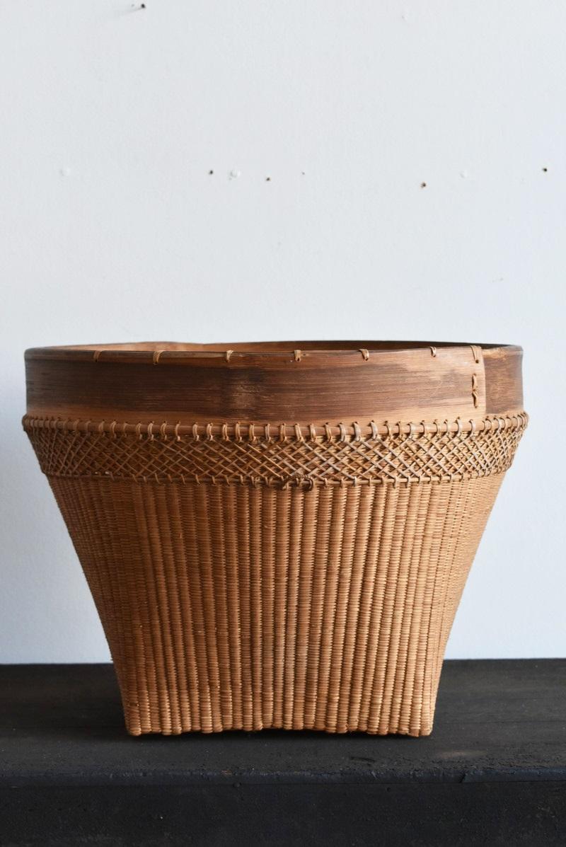20th Century Basket Woven from Old Japanese Actinidia Polygama and Bamboo/Showa Era/Mingei
