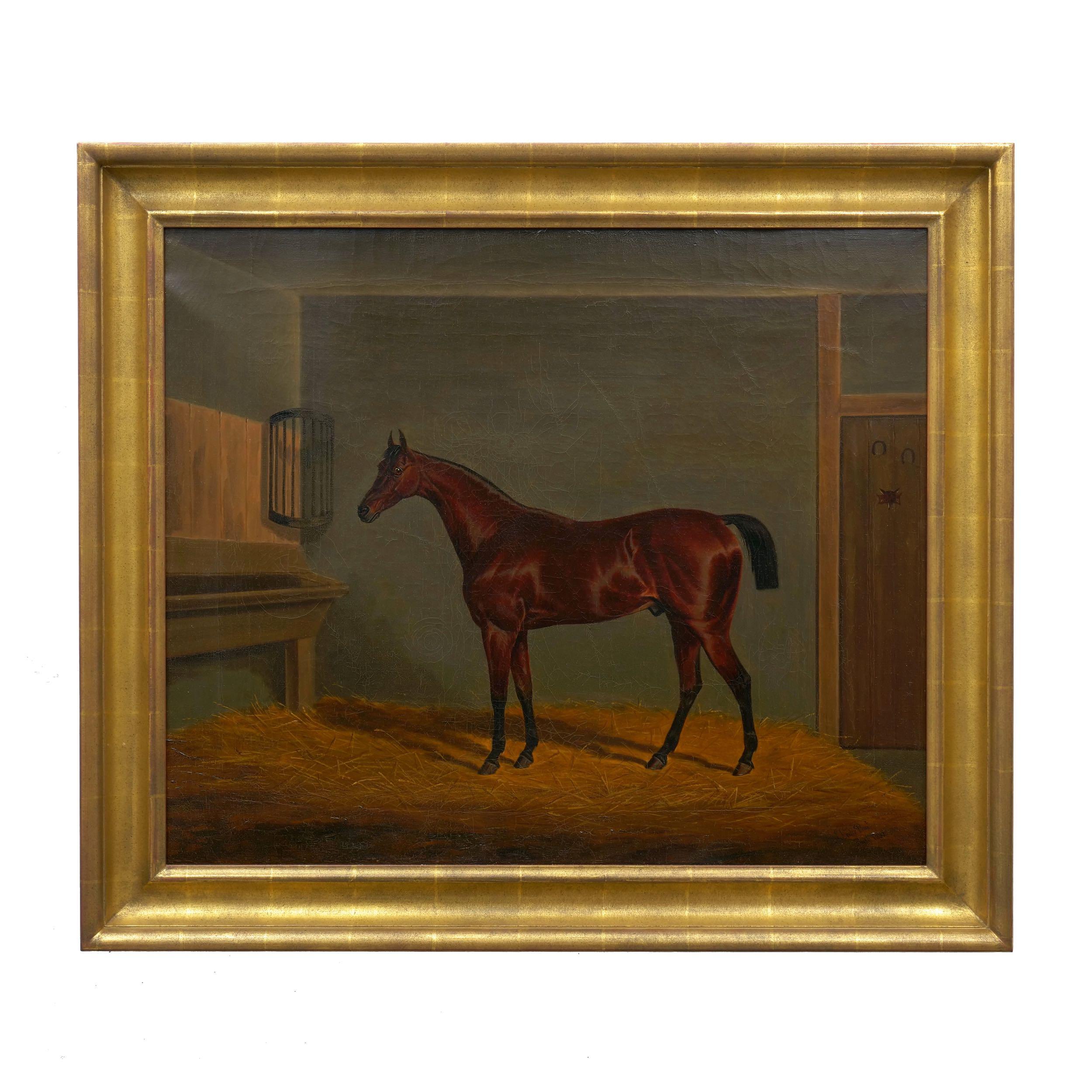 A fine equestrian scene of a handsome brown racehorse depicted in a well-lit stable interior, the lighting of the scene is particularly interesting with shadows cast behind the proud animal translucent against the golden hay before ghosting against