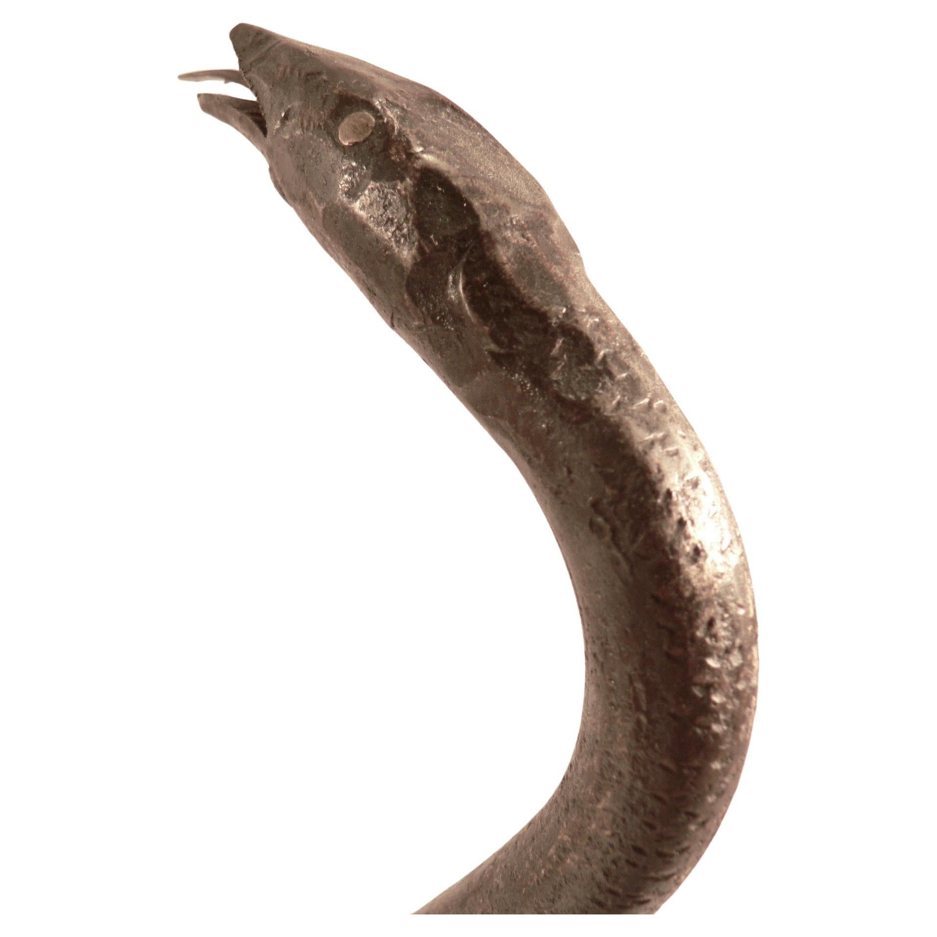 Serpent en fer forgé avec incrustations de laiton (yeux, etc.), pièce d'art populaire du milieu du XXe siècle. Superbe patine pour une pièce rare.