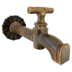 A Beautiful Antique Brass Faucet with Decorative Backplate