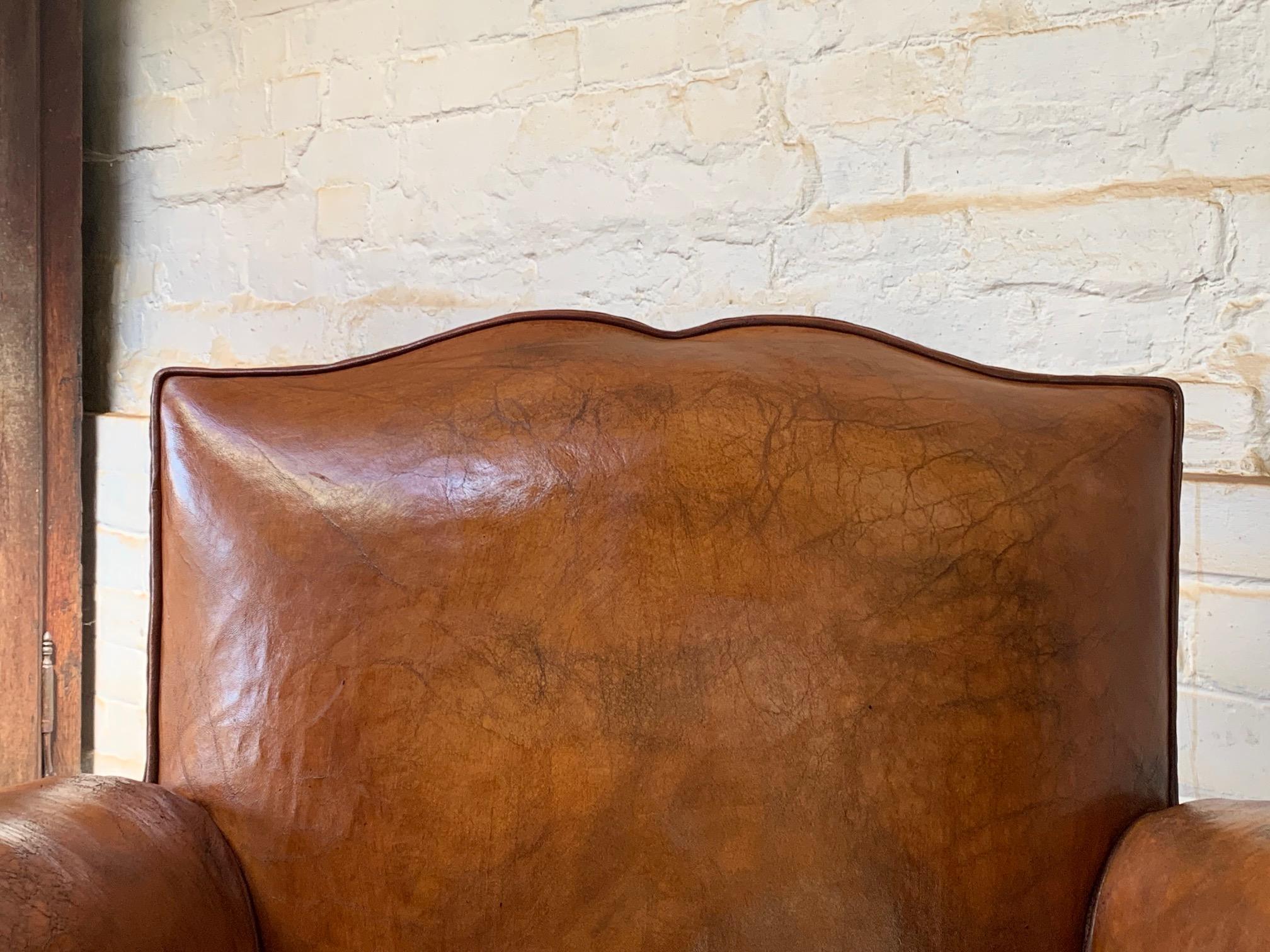 A Beautiful French Leather Club Chair Caramel Moustache, with Cuban Cigar Arms 5