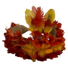 Ein wunderschönes Kayapo-Kopfschmuck