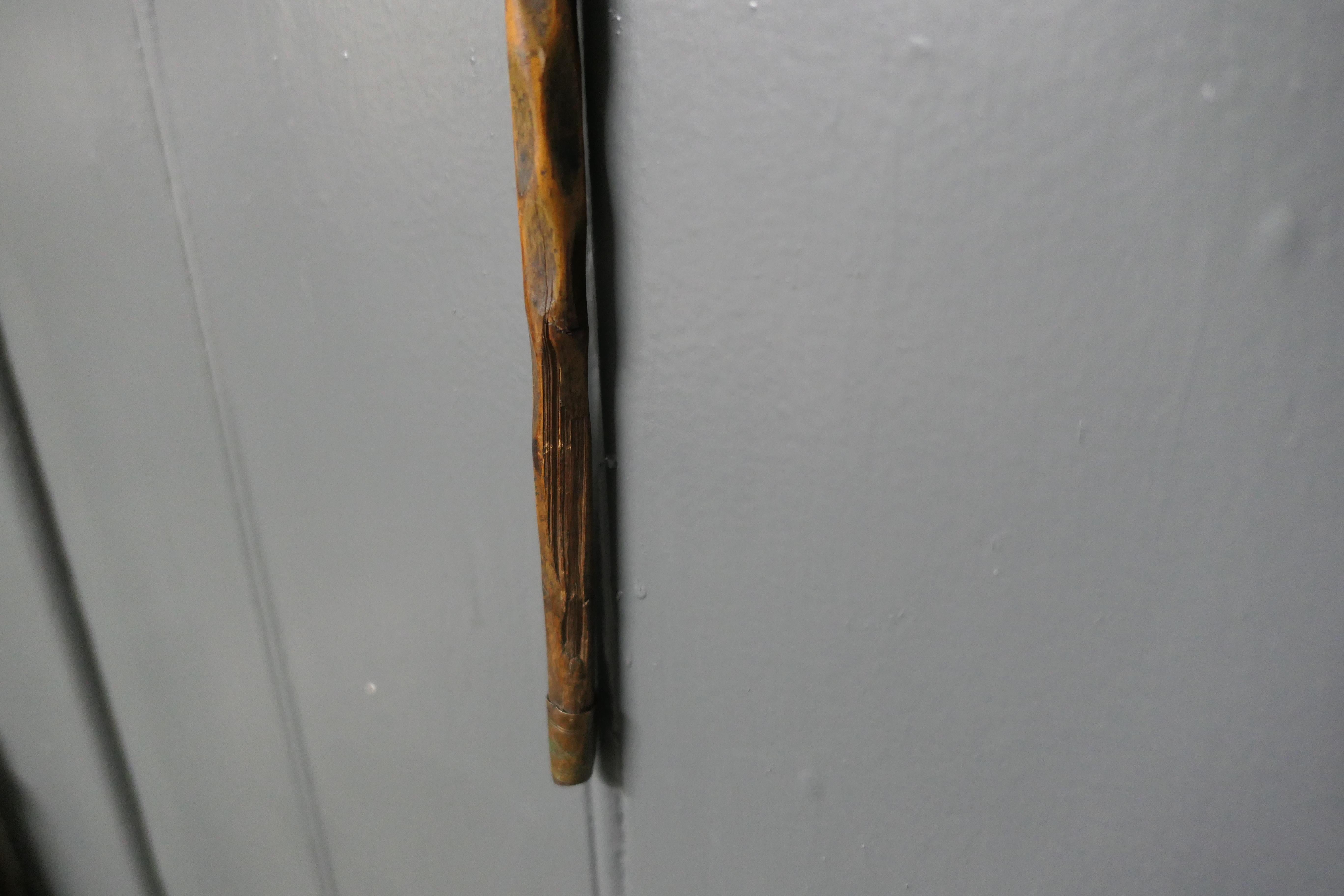 Late 19th Century Beautiful Natural Wood Zig Zag Shaft Walking Cane For Sale