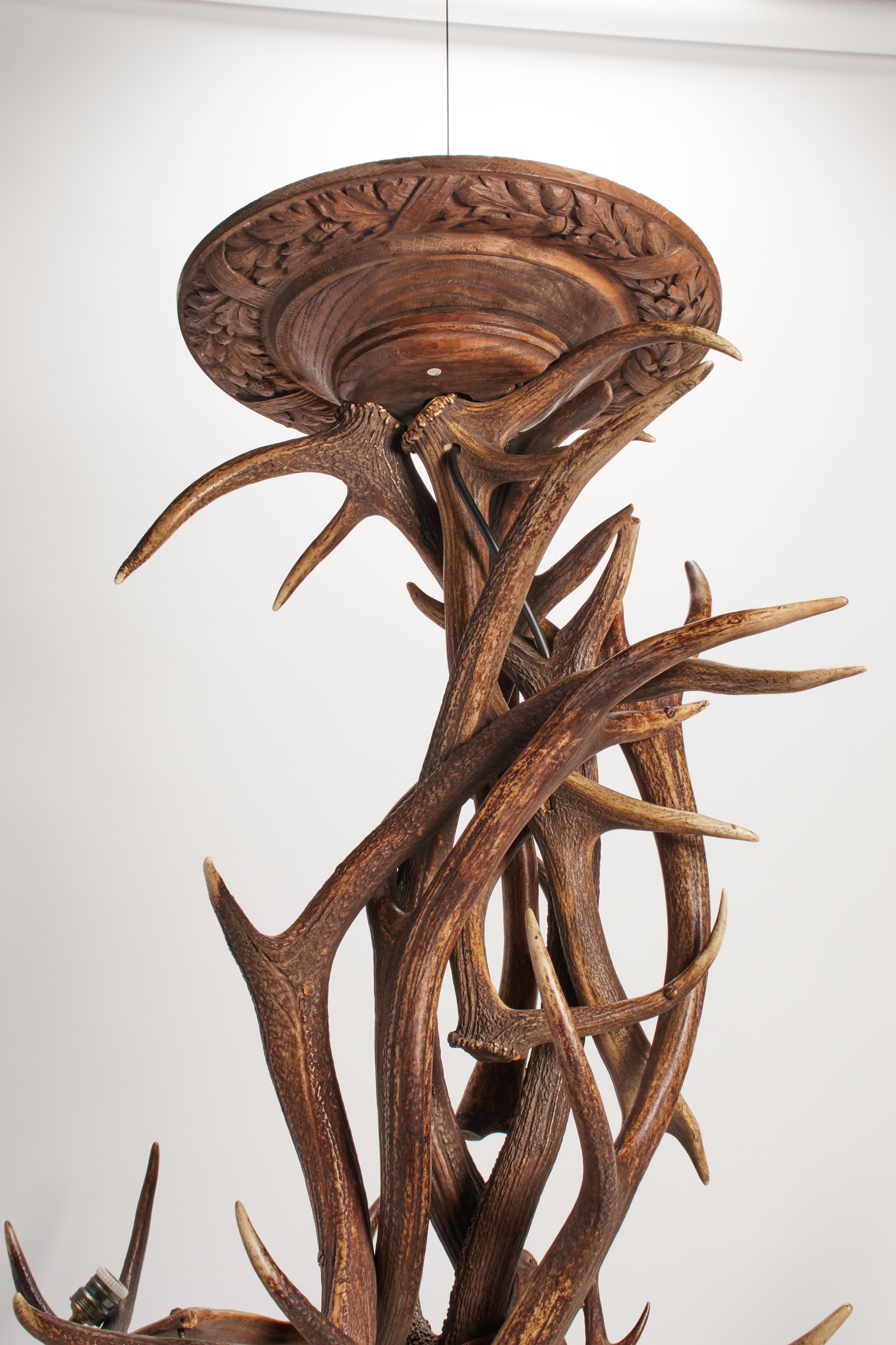 Austriaco Un grande lampadario con corna di cervo, Austria 1880. in vendita