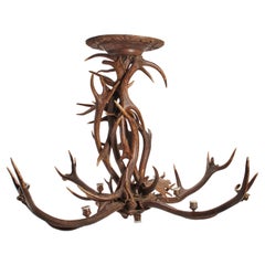 A big chandelier with stag horns, Austria 1880.