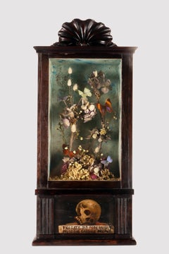 A big diorama with butterflies and flowers with a Memento Mori Italy 1850.