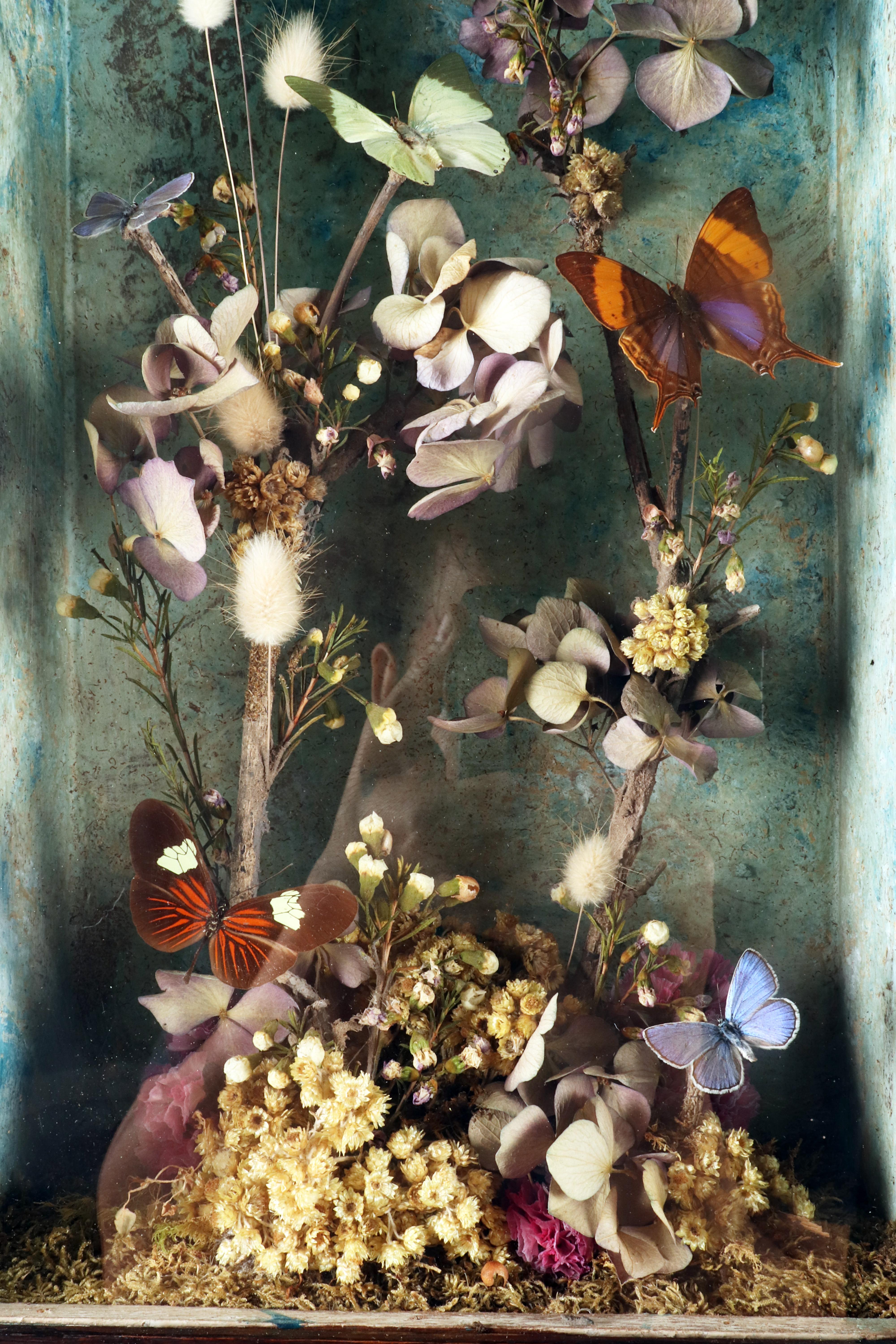 A big diorama with butterflies and flowers with a Memento Mori Italy 1850. In Good Condition For Sale In Milan, IT