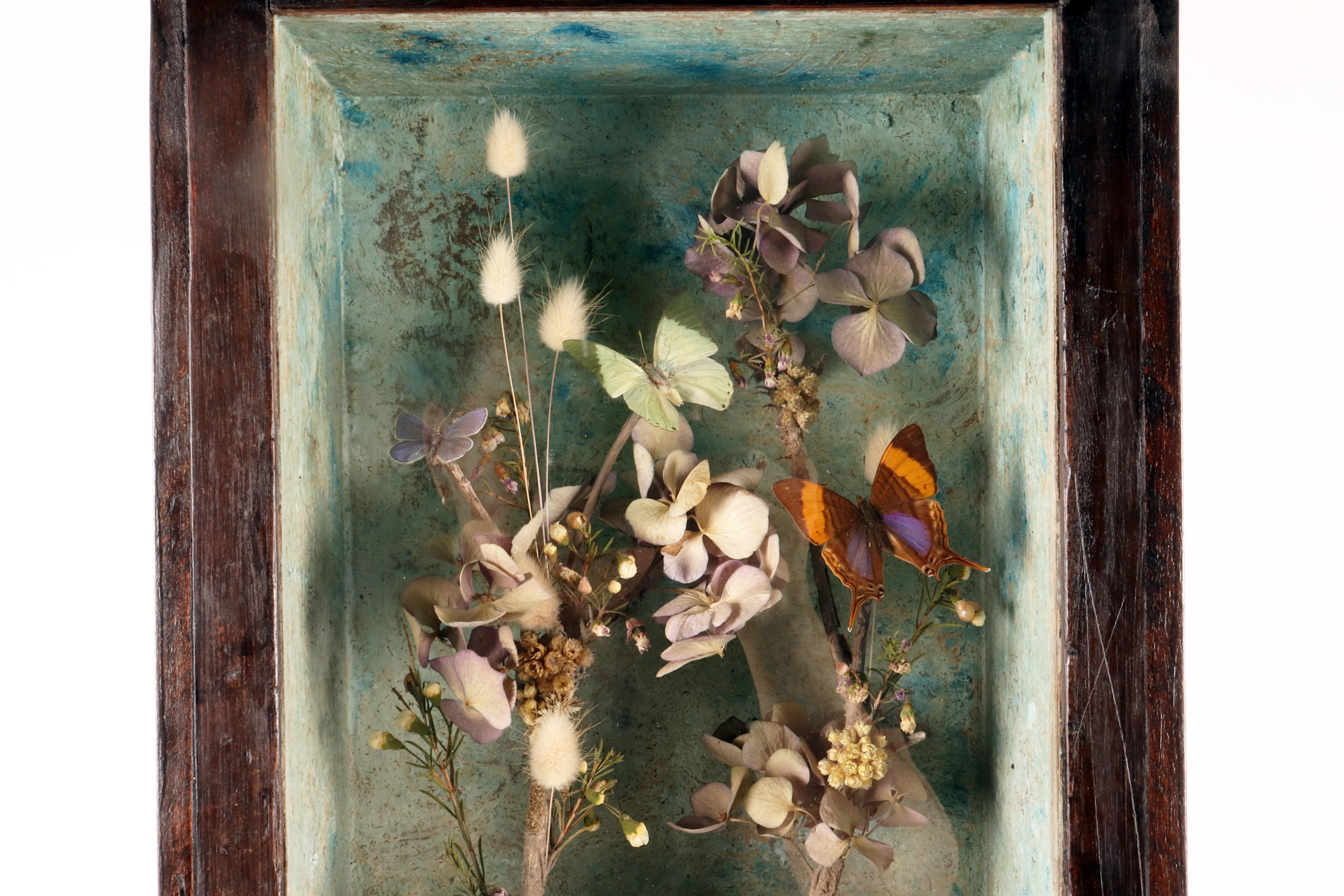 Glass A big diorama with butterflies and flowers with a Memento Mori Italy 1850. For Sale