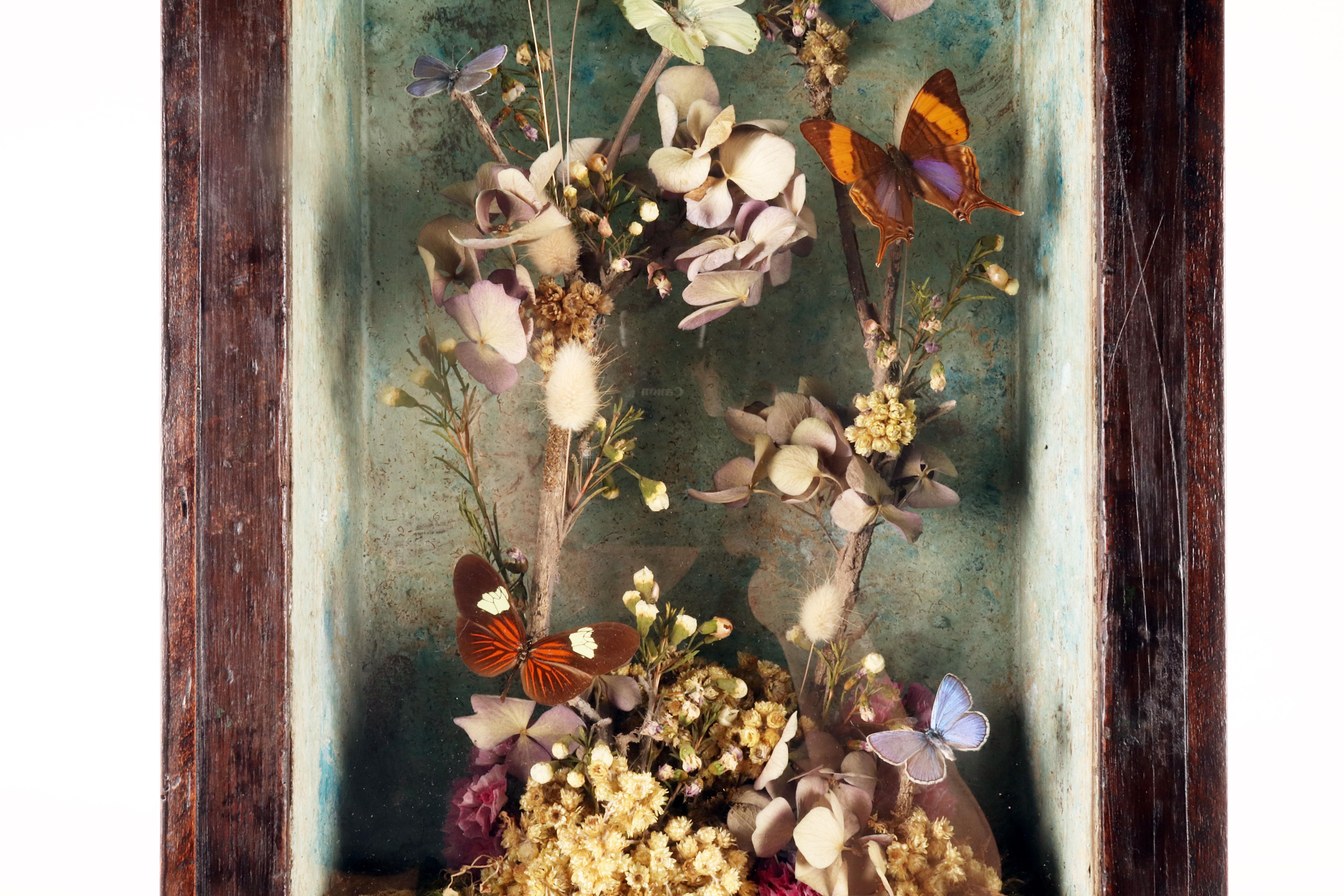 A big diorama with butterflies and flowers with a Memento Mori Italy 1850. For Sale 1
