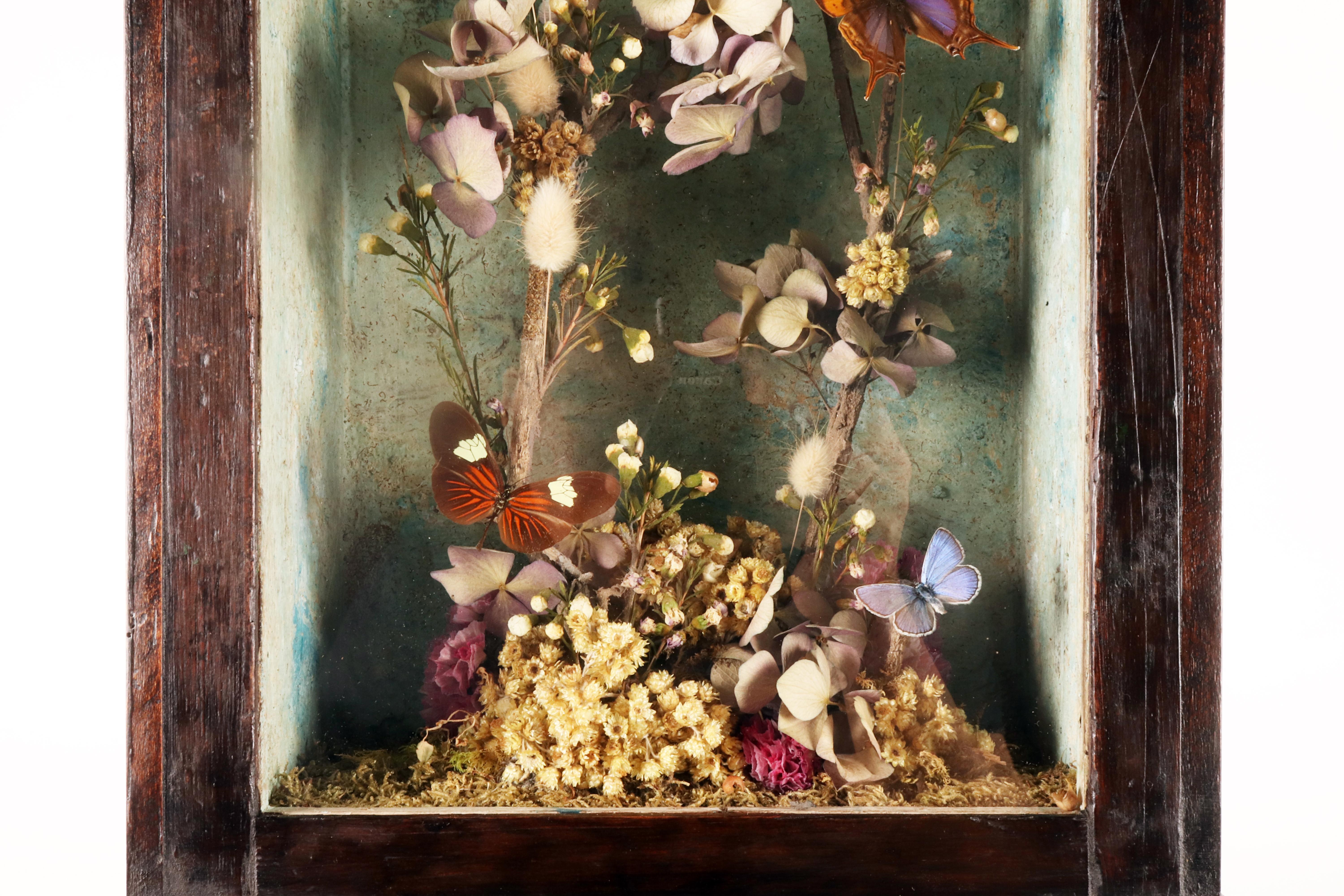 Ein großes Diorama mit Schmetterlingen und Blumen mit einem Memento Mori Italien 1850. im Angebot 2