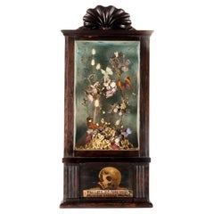 A big diorama with butterflies and flowers with a Memento Mori Italy 1850.