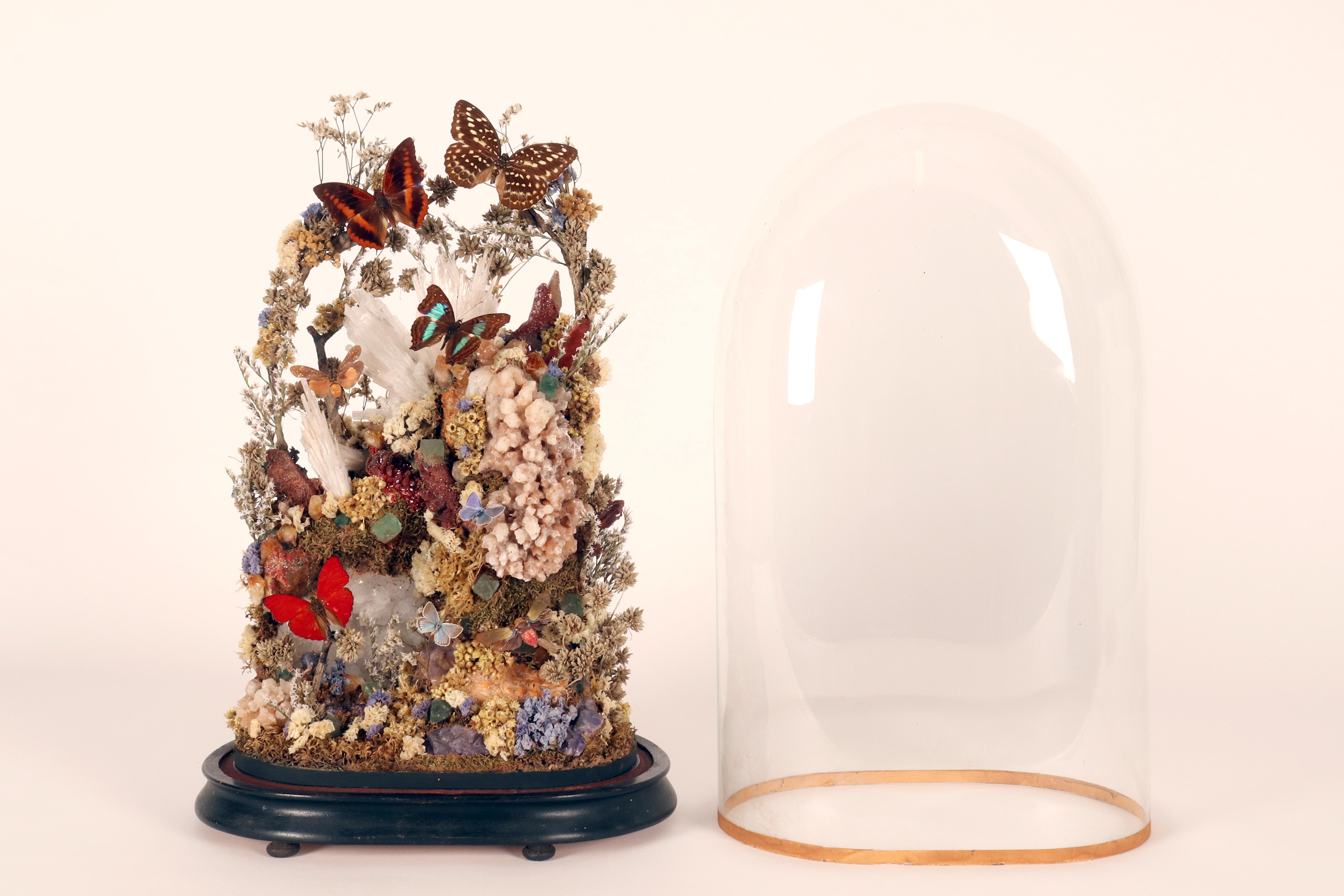 Un gran diorama con cristales, mariposas y flores, Italia 1870. en venta 10
