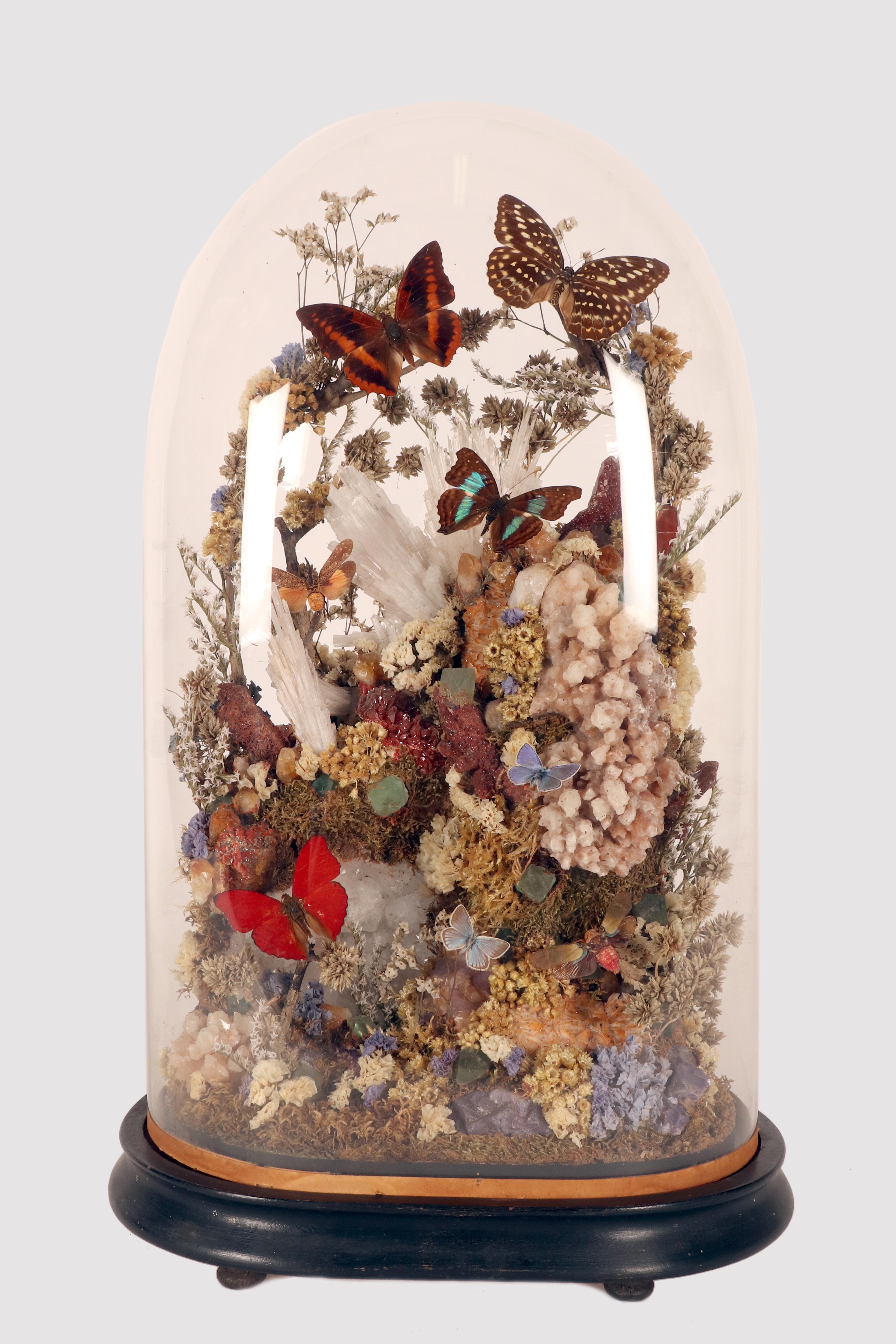 Gran diorama de gabinete de curiosidades con especímenes de cristal natural y mariposas multicolores, montado bajo una campana oval de vidrio soplado, con base de álamo lacado en negro. Un tablero interior, de madera de abeto con alfombra de musgo,