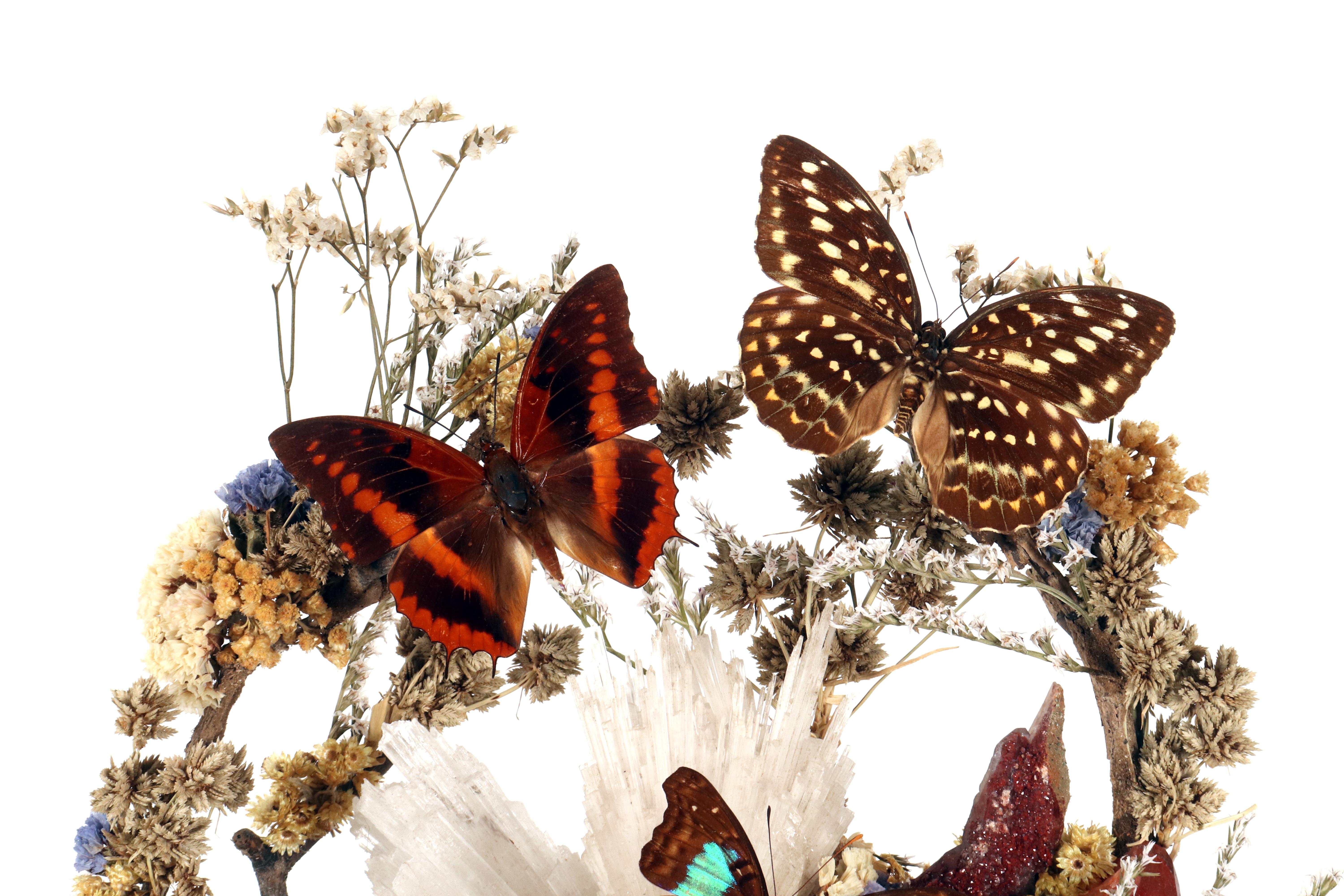 Un gran diorama con cristales, mariposas y flores, Italia 1870. en venta 1