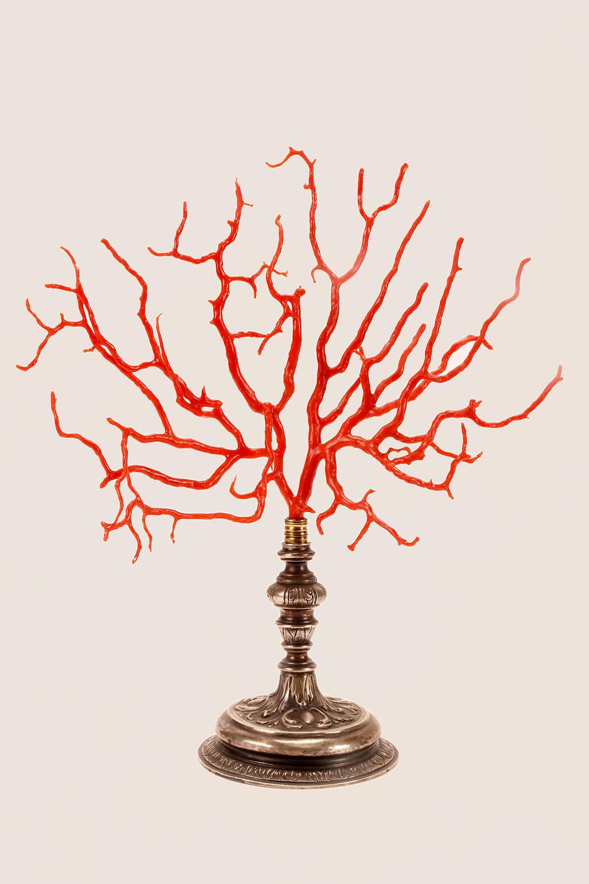 A big Mediterranean red coral branch (Corallium Rubrum).
The base is made of silver, embossed work, Italy, early 19th century.