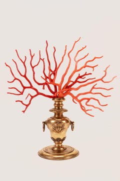 A large branch of Rubrum coral and Sciacca coral from Wunderkammer, Italy 1820.