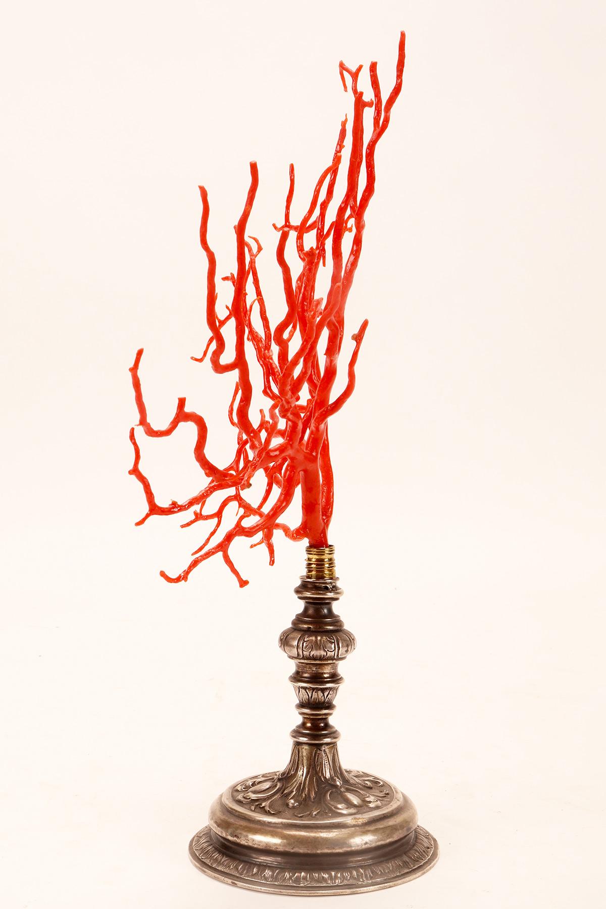 italien Une grande branche de corail rouge de Wunderkammer, base en argent, Italie 1820.  en vente
