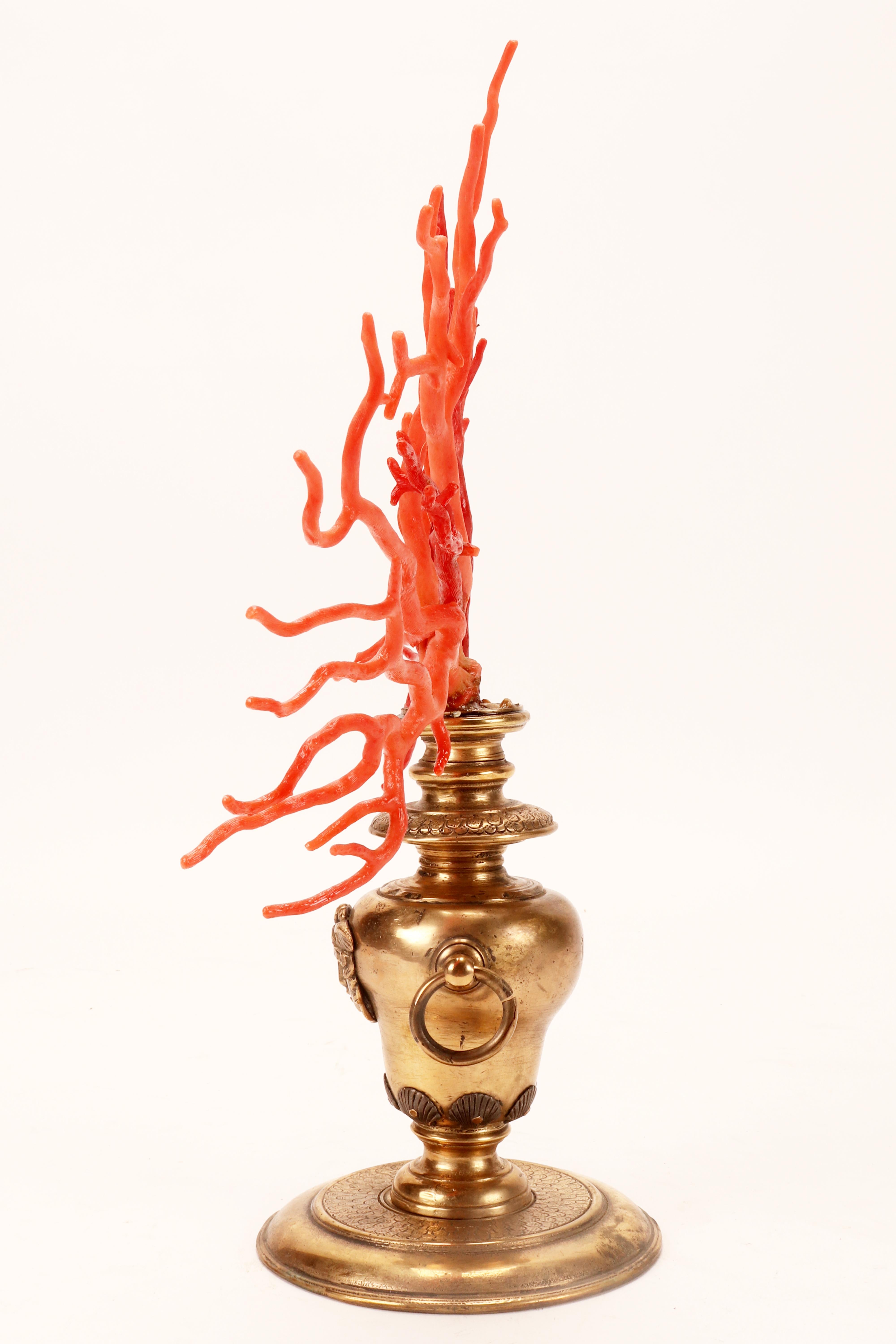 Italian A large branch of Rubrum coral and Sciacca coral from Wunderkammer, Italy 1820.  For Sale