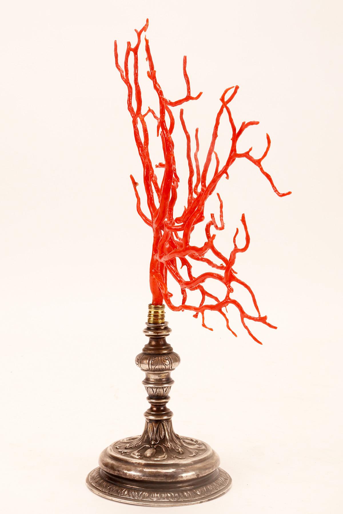 A big red coral branch from Wunderkammer, silver base, Italy 1820.  In Good Condition For Sale In Milan, IT