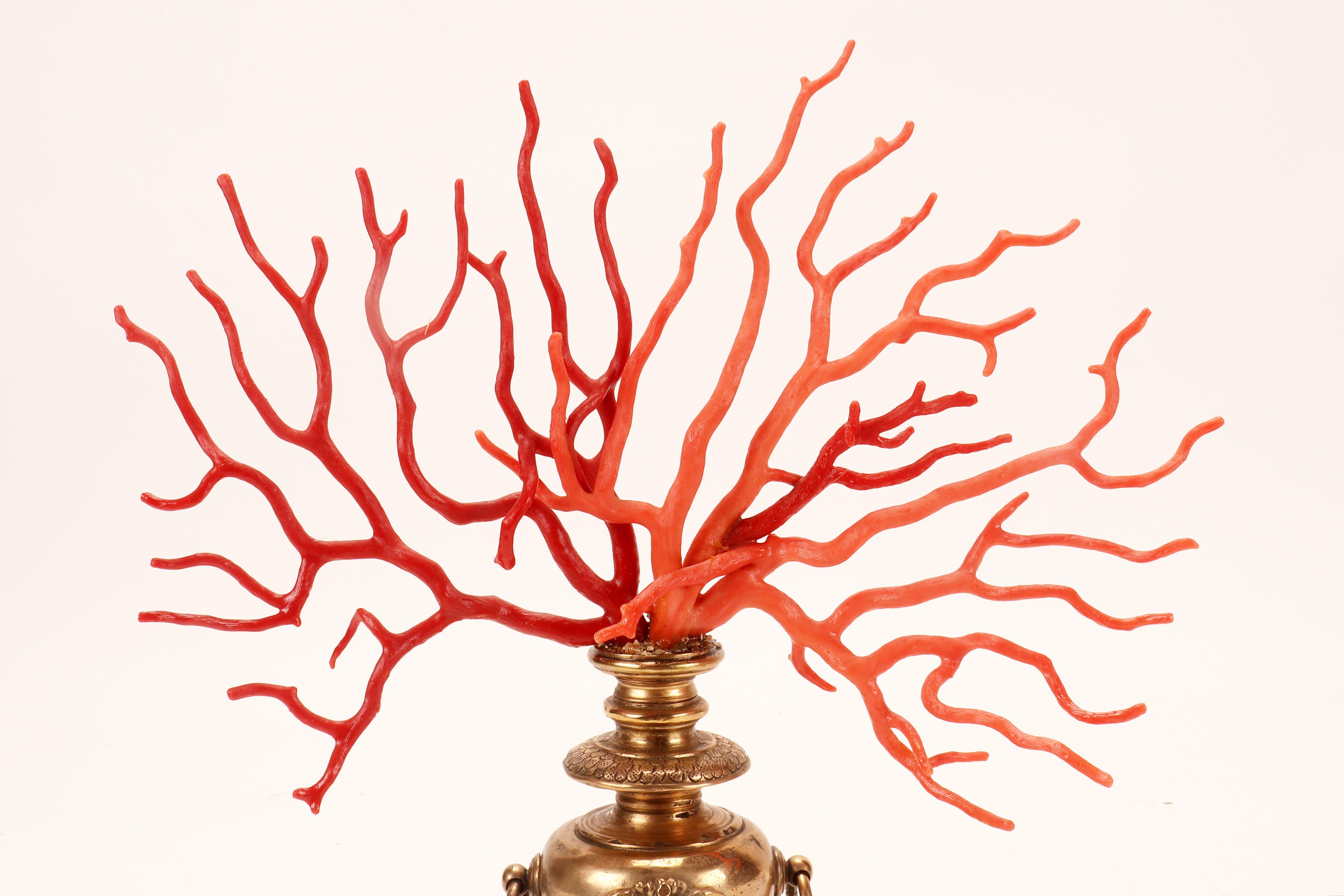 Silver A large branch of Rubrum coral and Sciacca coral from Wunderkammer, Italy 1820.  For Sale