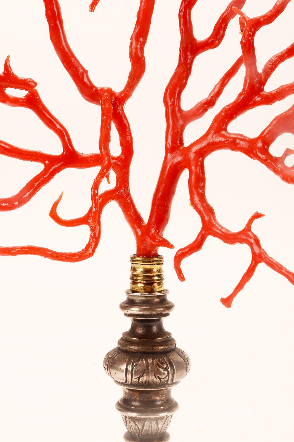 A big red coral branch from Wunderkammer, silver base, Italy 1820.  For Sale 1