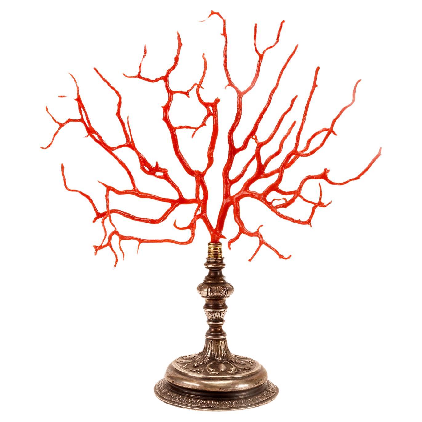 A big red coral branch from Wunderkammer, silver base, Italy 1820.  For Sale
