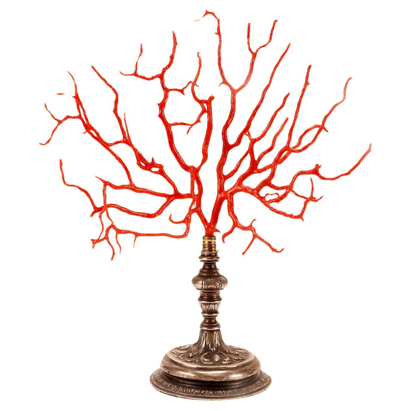 Une grande branche de corail rouge de Wunderkammer, base en argent, Italie 1820.  en vente