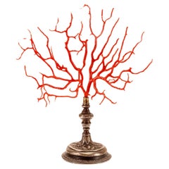A big red coral branch from Wunderkammer, silver base, Italy 1820.