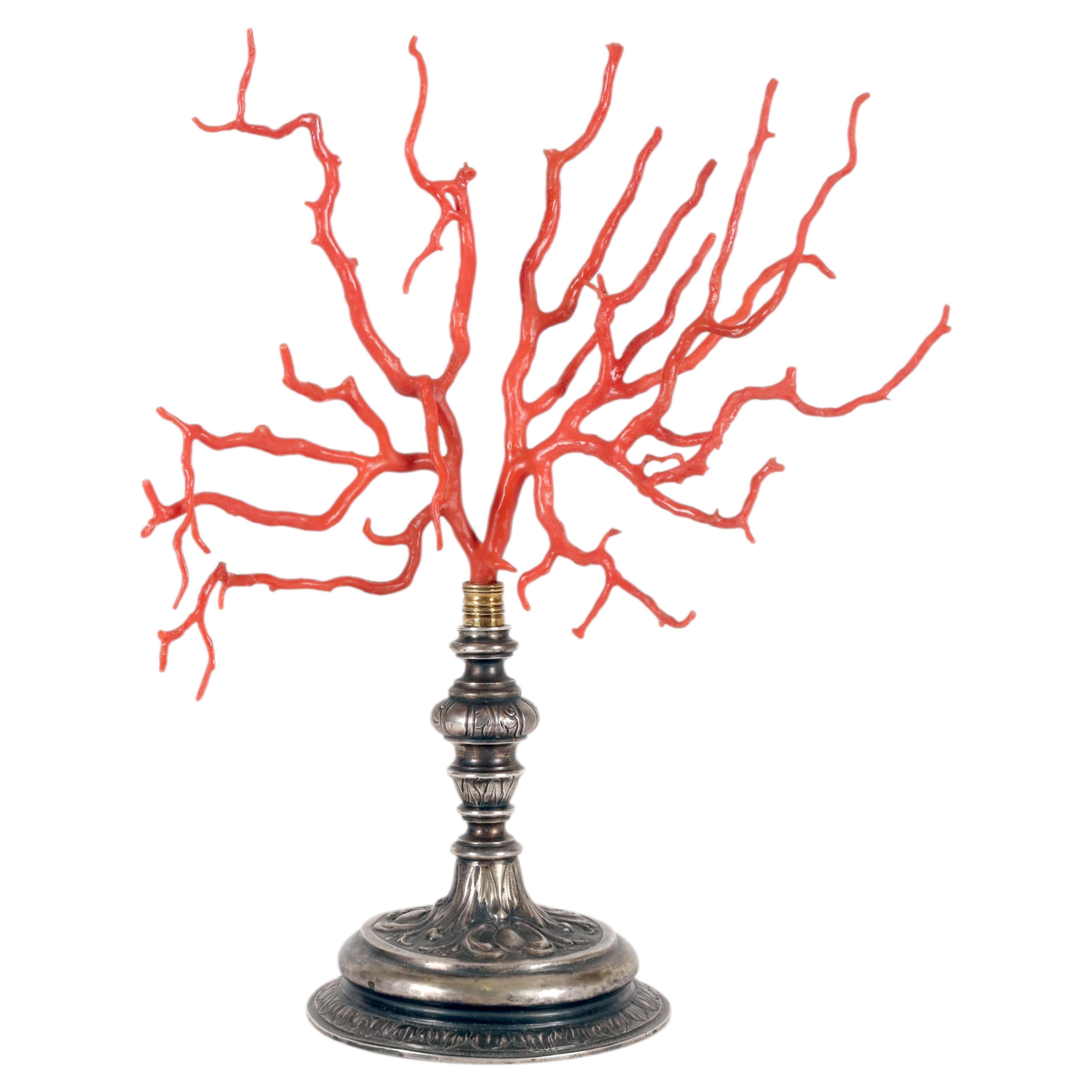 A big red coral branch from Wunderkammer, silver base, Italy 1820.